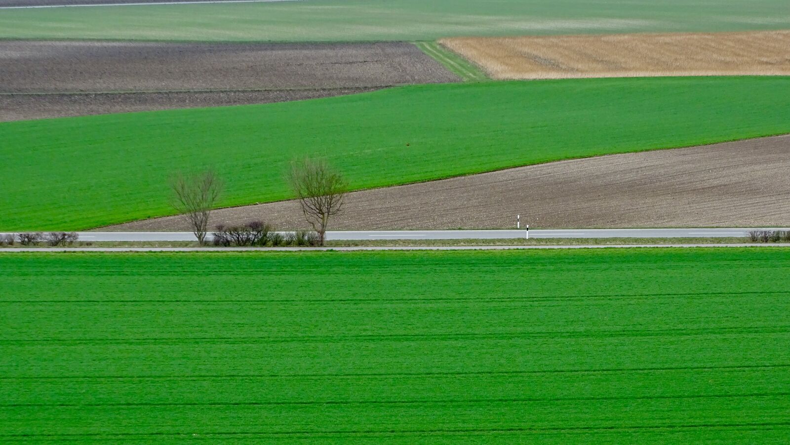Sony Cyber-shot DSC-HX400V sample photo. Agriculture, green, countryside photography