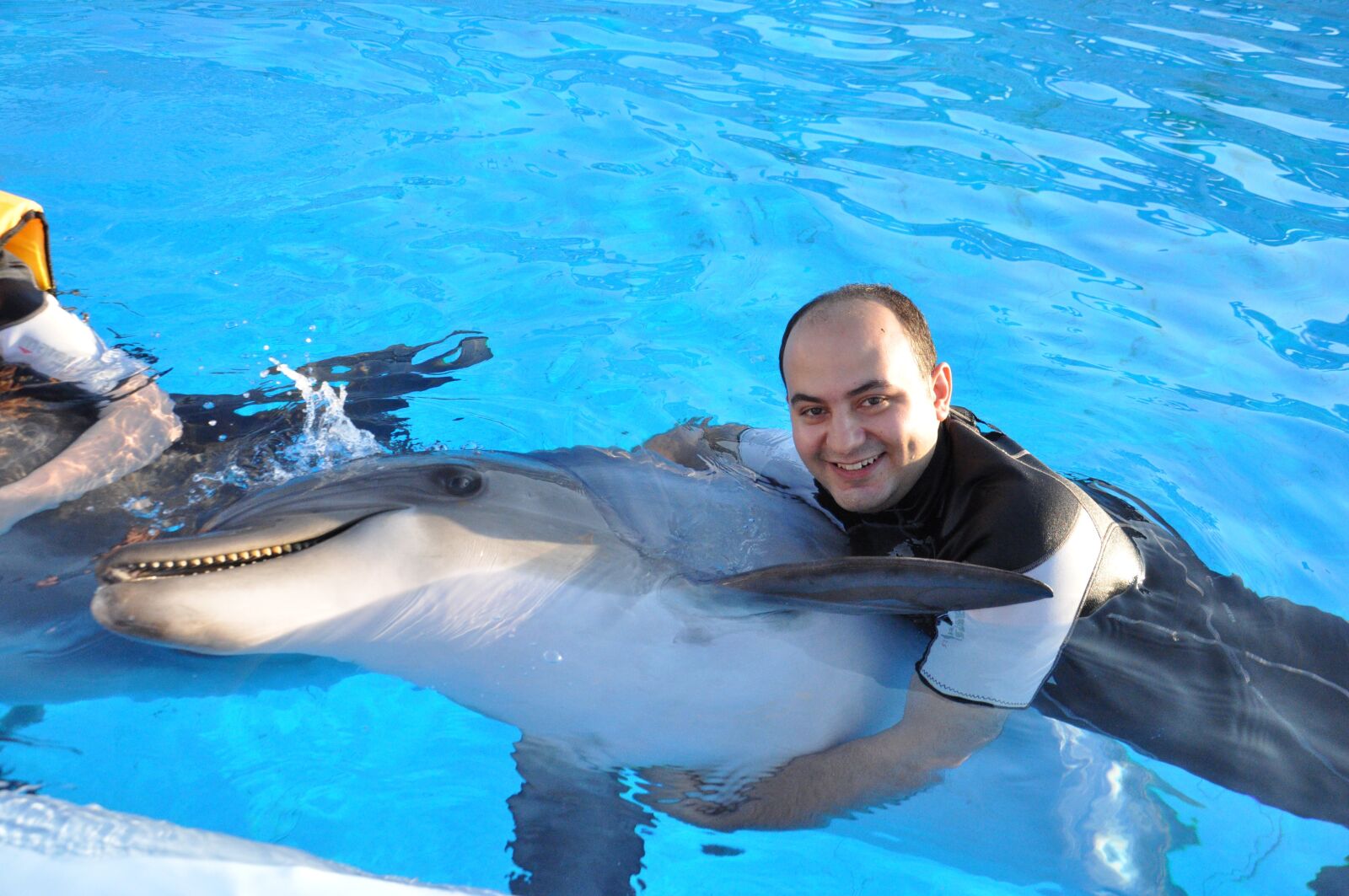 Nikon D90 sample photo. Dolphin, friendship, peace photography