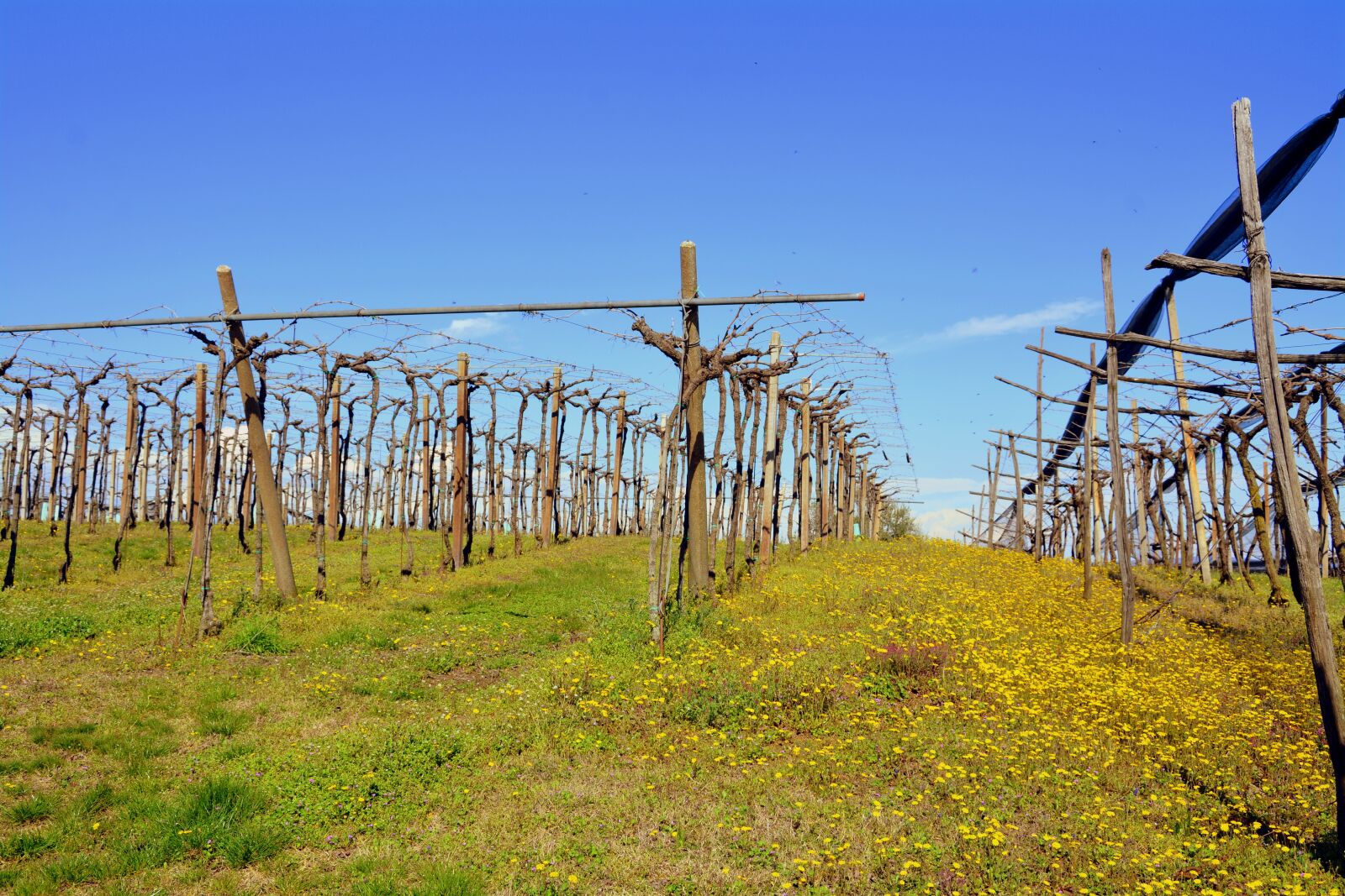 Nikon D7100 sample photo. Nature, sky, landscape photography