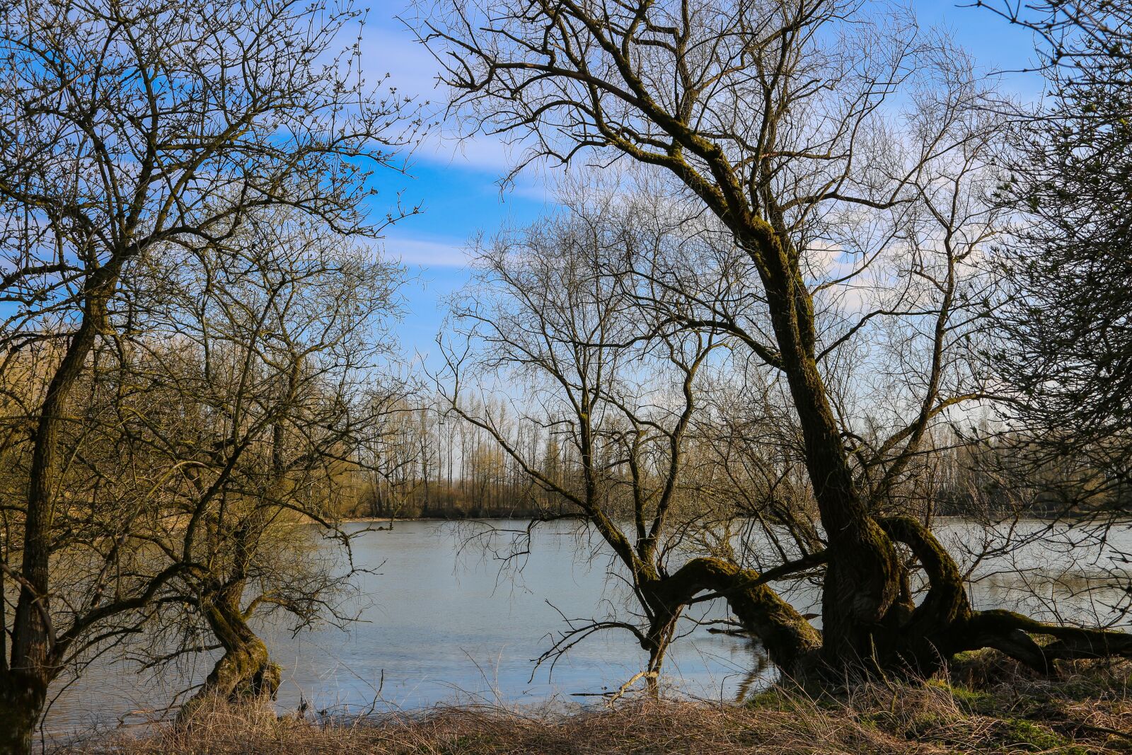 Canon EF 24-105mm F4L IS USM sample photo. Lake, water, mood photography