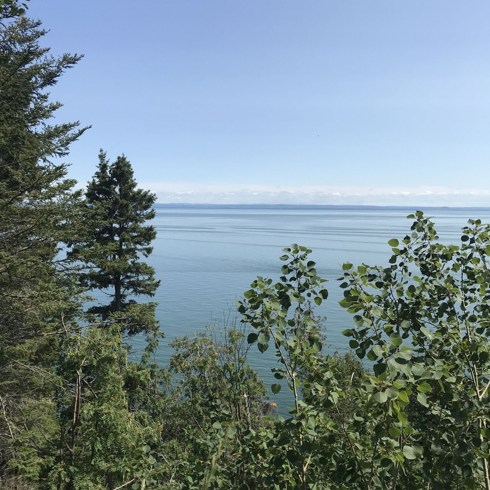 iPhone 7 back camera 3.99mm f/1.8 sample photo. Ontario, lake, cottage photography