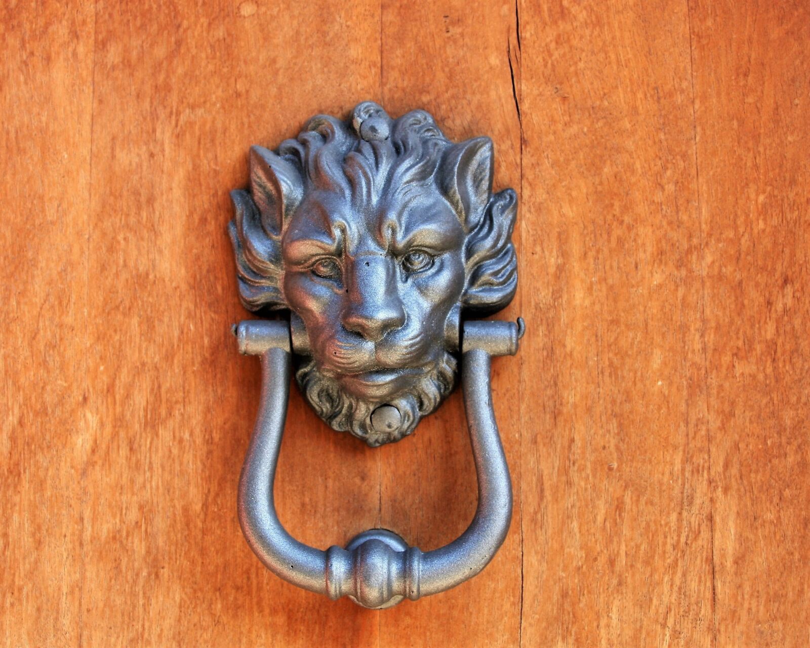 Canon EOS 400D (EOS Digital Rebel XTi / EOS Kiss Digital X) sample photo. Door handle, old, sculpture photography