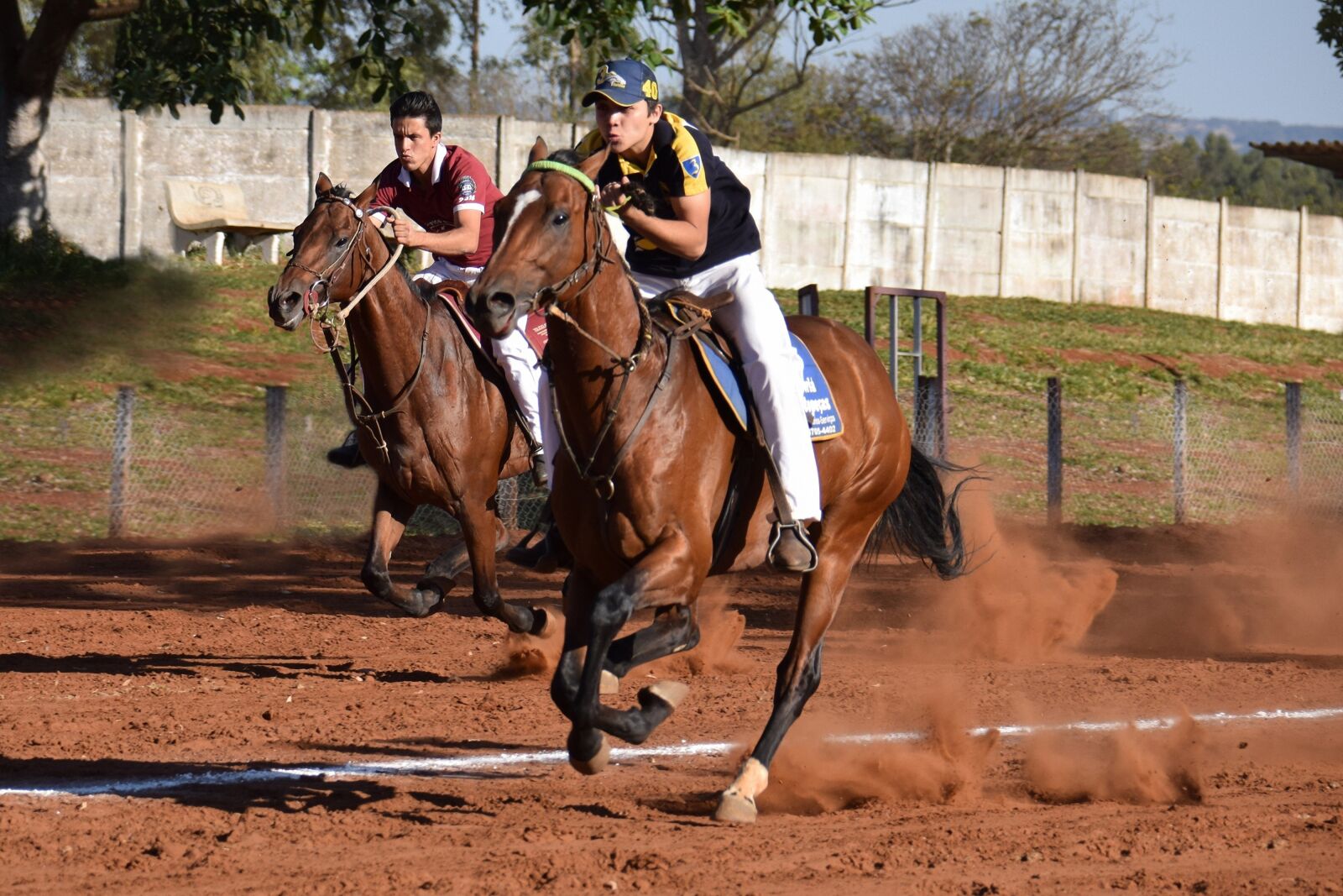 Nikon D5300 sample photo. Horse, knight, equestrianism photography