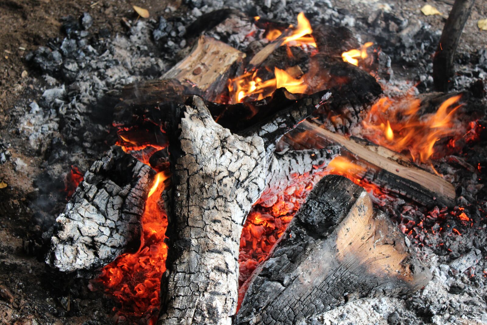 Canon EOS 600D (Rebel EOS T3i / EOS Kiss X5) sample photo. Fire, biomass, campfire photography