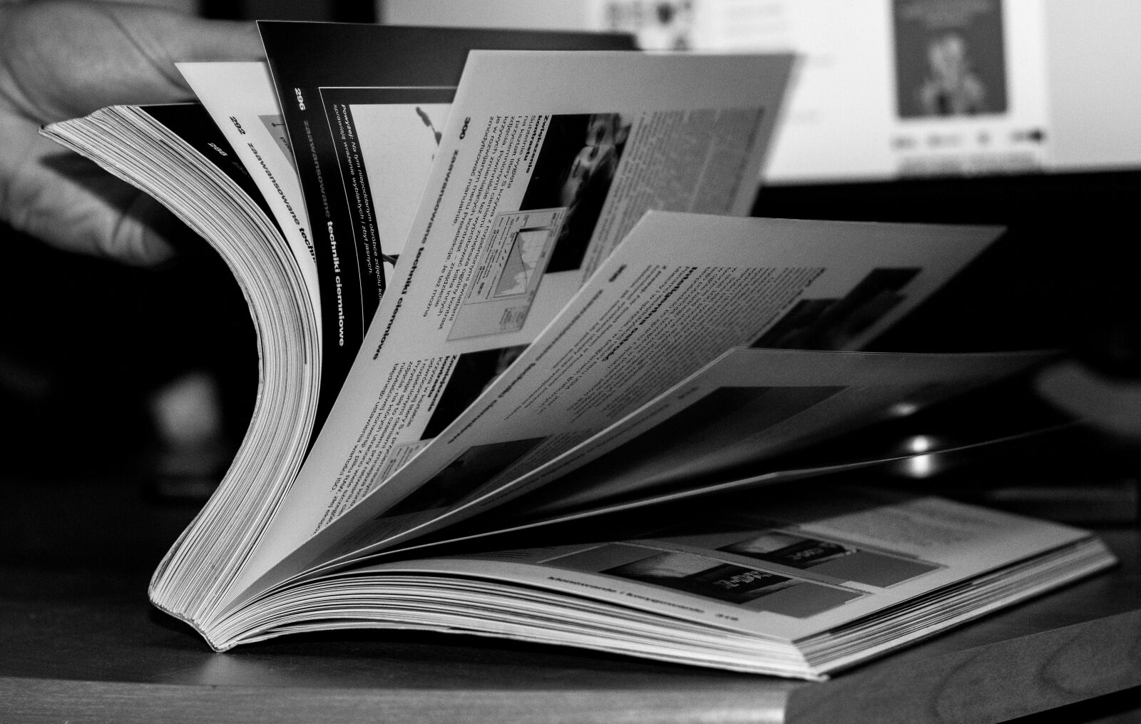 Canon EOS 1300D (EOS Rebel T6 / EOS Kiss X80) + Canon EF 50mm F1.8 STM sample photo. Book, read, education photography