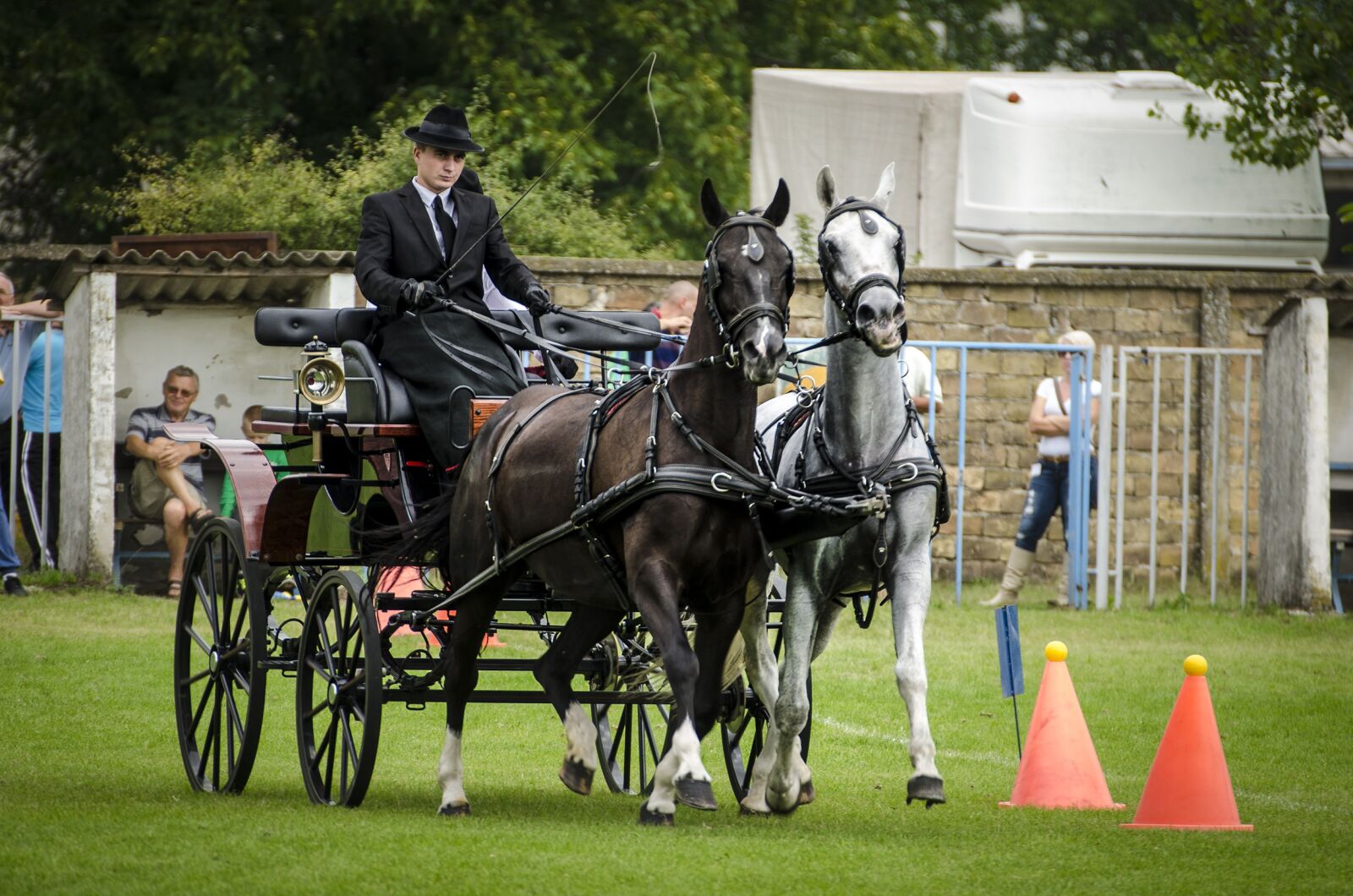 Nikon D7000 sample photo. Carriage, hors, taxi photography