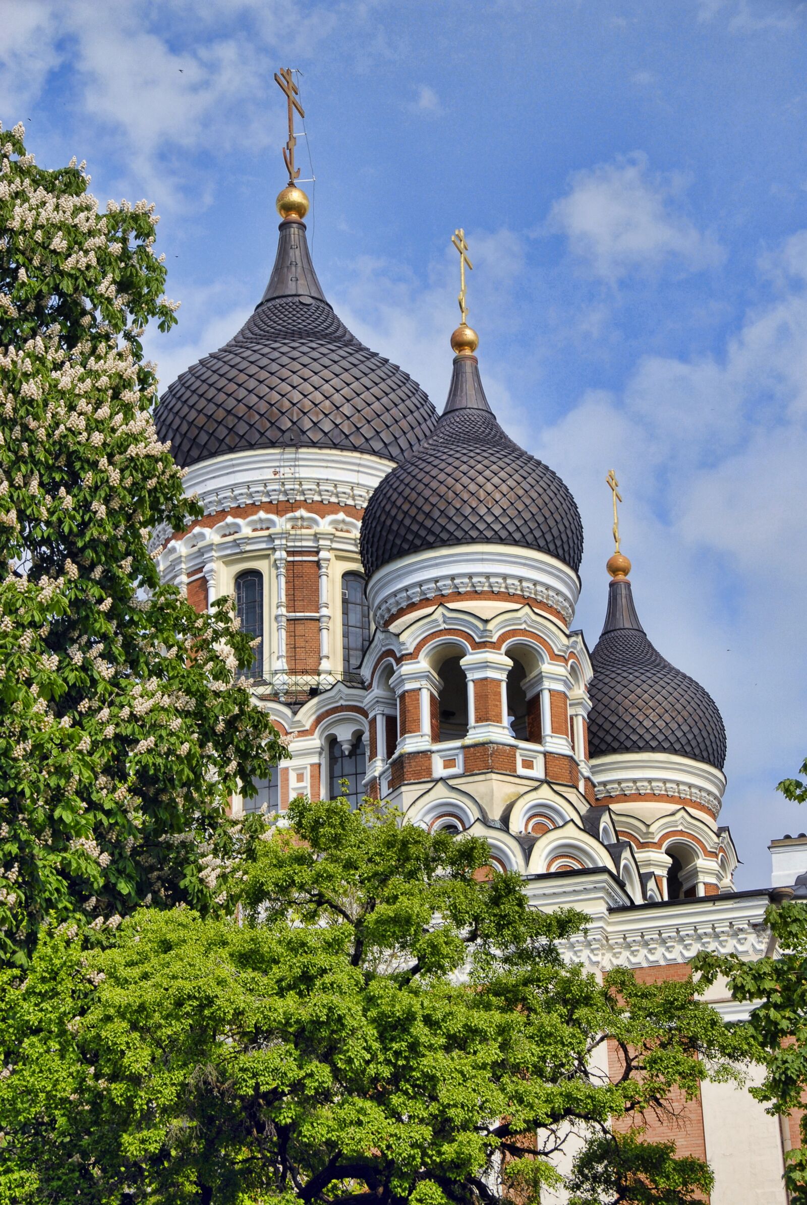 Nikon D200 sample photo. Tallinn, estonia, travel photography