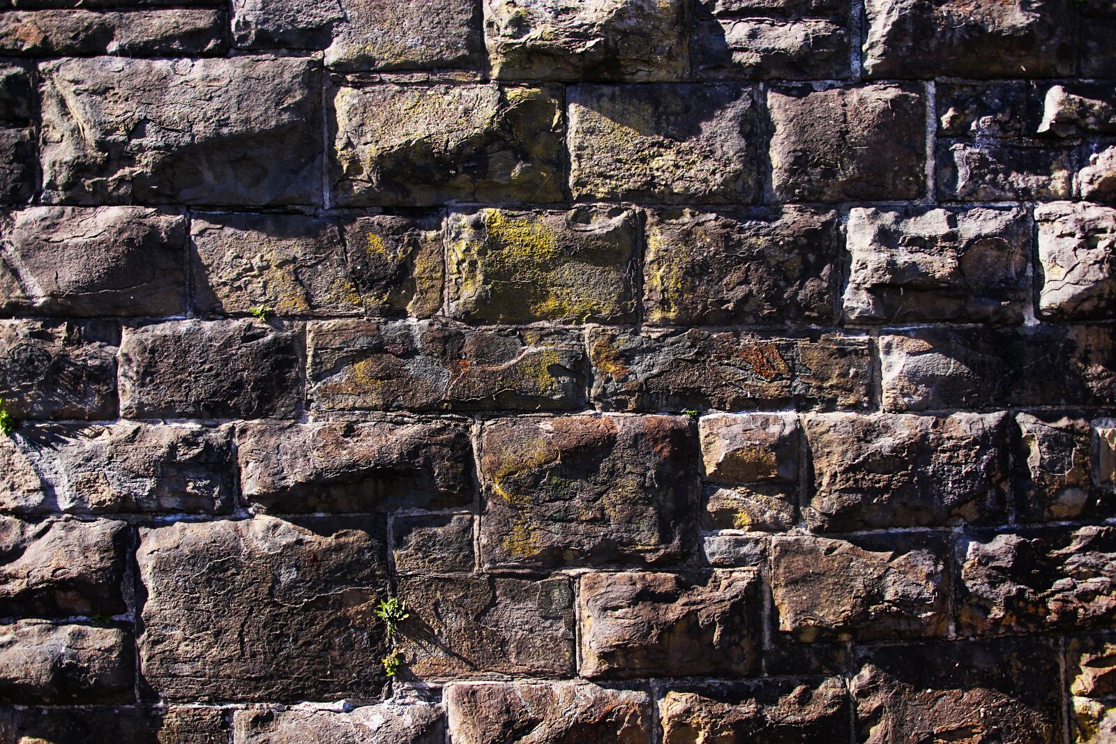 Canon EOS 700D (EOS Rebel T5i / EOS Kiss X7i) sample photo. Stone wall, wall, welsh photography
