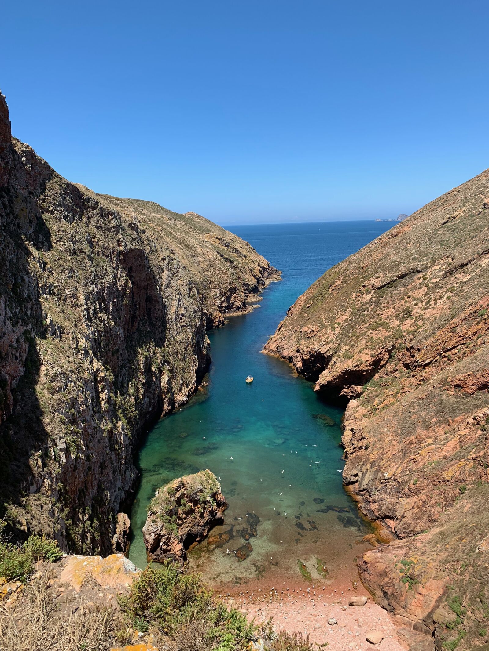 iPhone XR back camera 4.25mm f/1.8 sample photo. Sea, berlenga, vacations photography