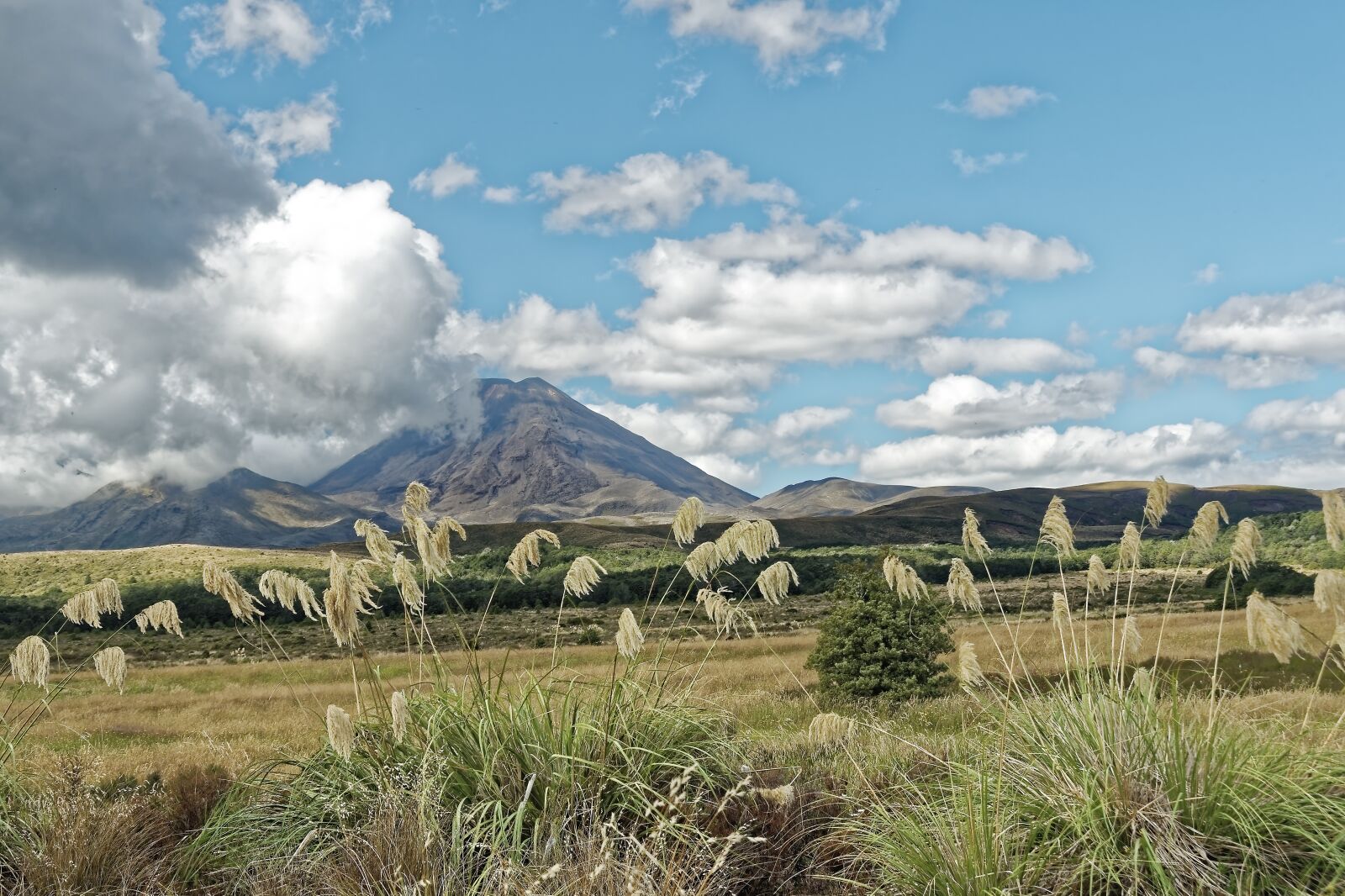 Nikon D500 sample photo. New zealand, tongariro, north photography