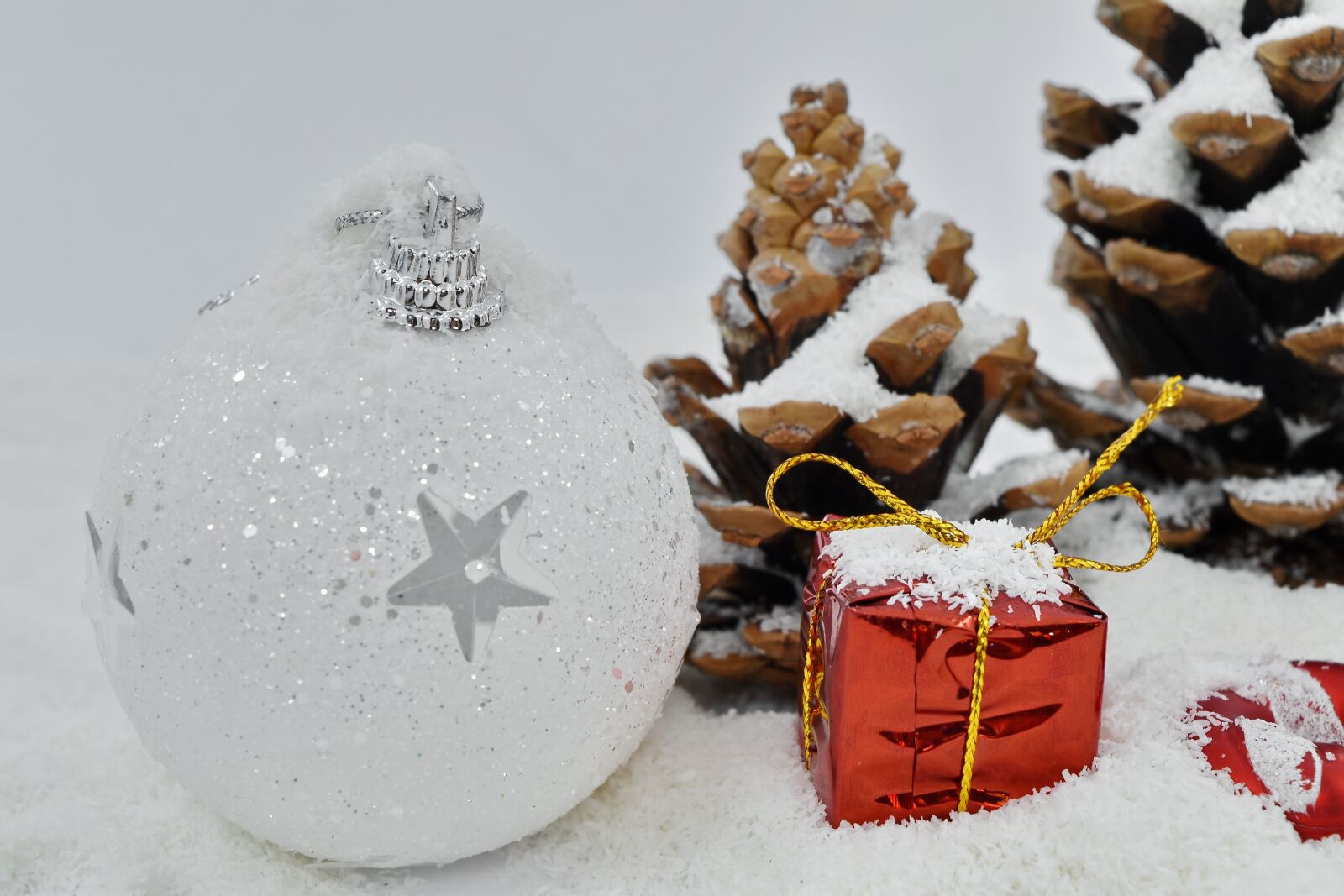 Nikon D5500 sample photo. Christmas, snow, winter, frost photography
