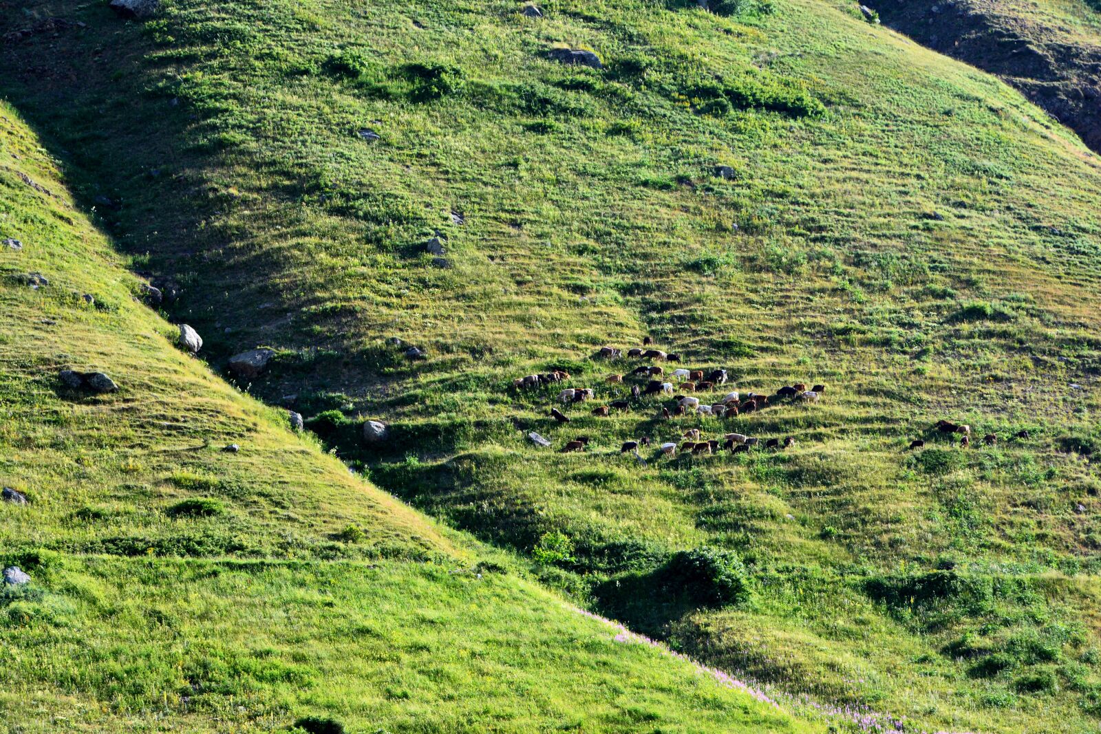 Nikon D7100 sample photo. Landscape, kaçkars, landscapes photography