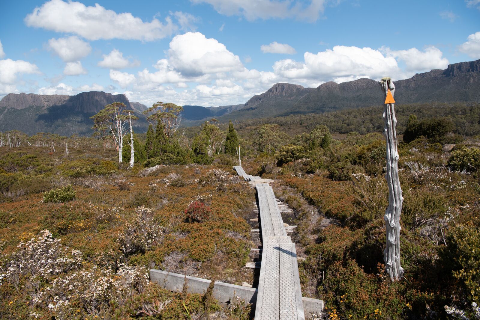 Nikon D750 sample photo. Overland track, tasmania, wilderness photography