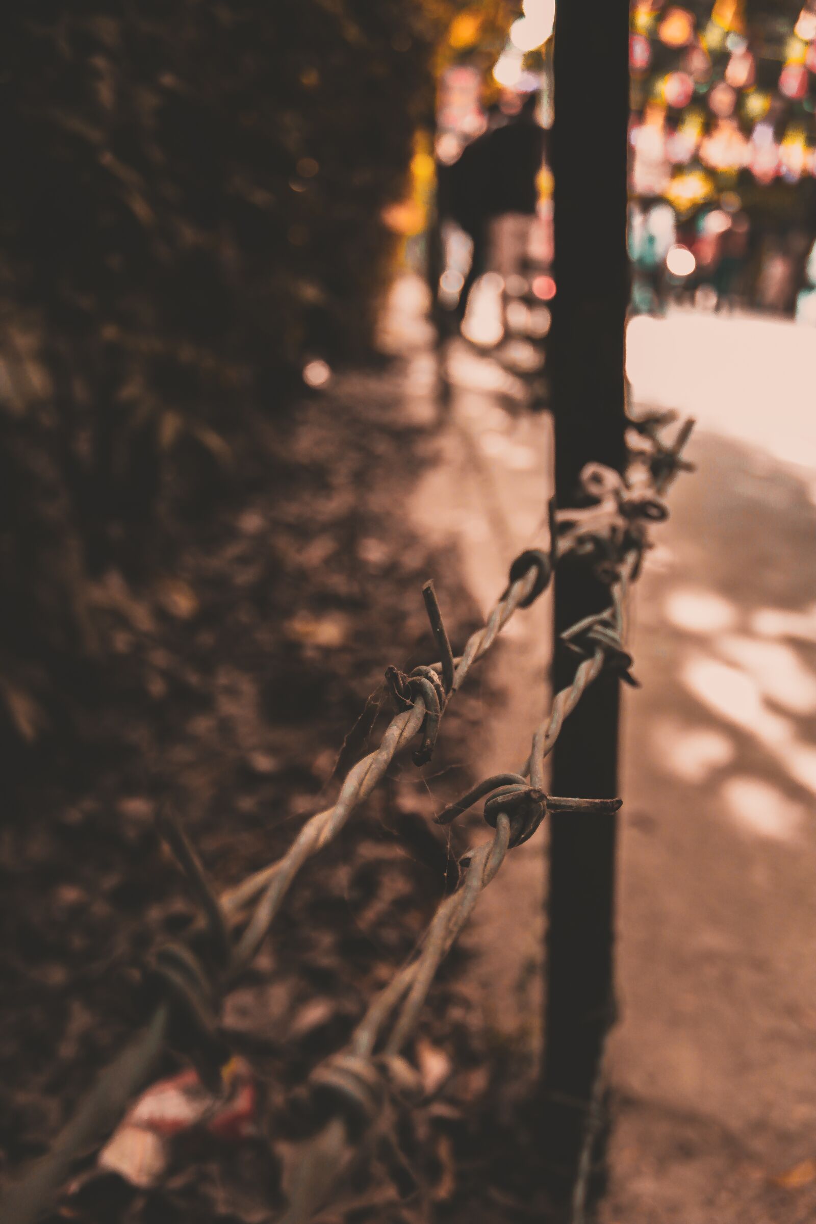 Canon EOS 700D (EOS Rebel T5i / EOS Kiss X7i) sample photo. Wire, fence, outdoor photography