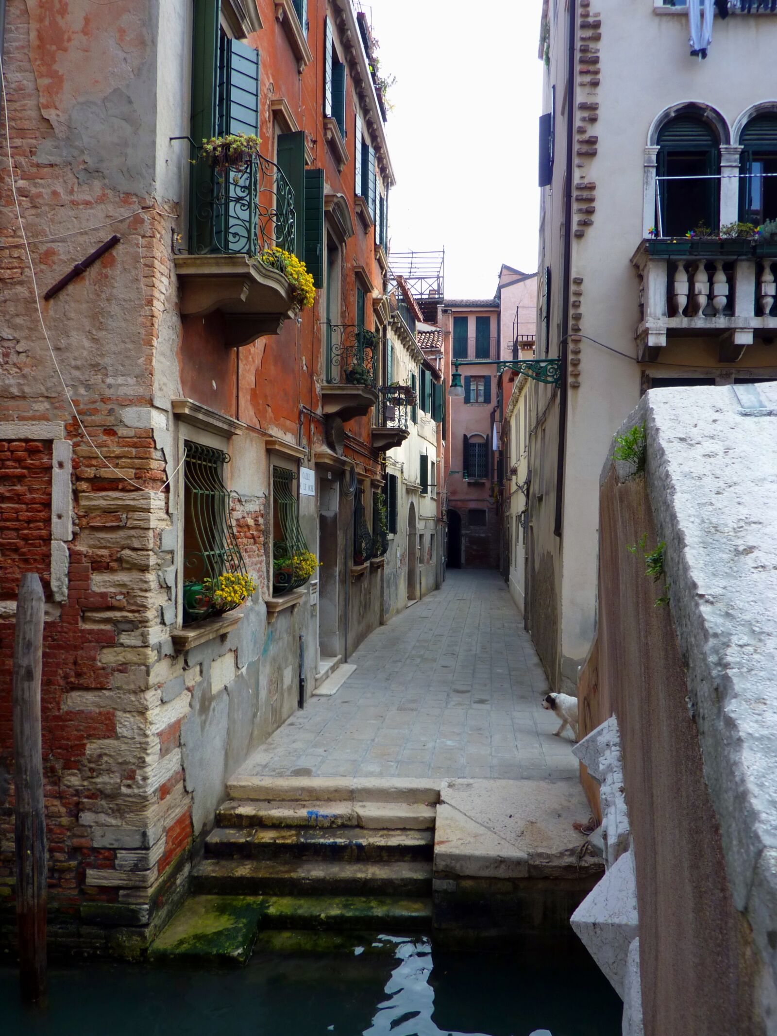 Panasonic Lumix DMC-ZS1 (Lumix DMC-TZ6) sample photo. Alley, calle, venice photography