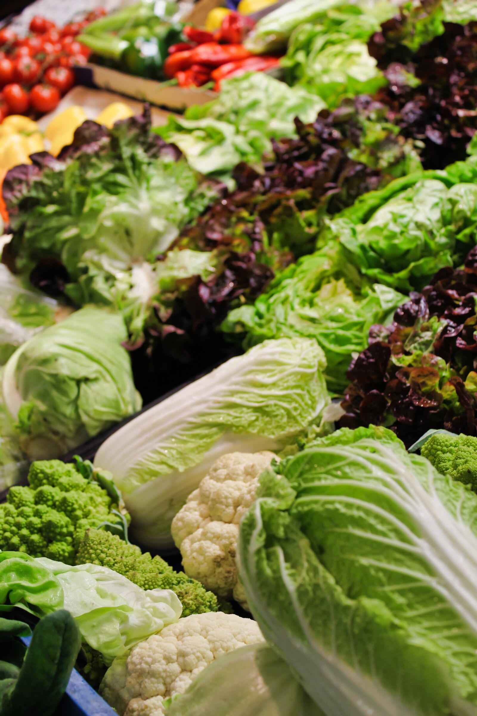 Canon EOS 1300D (EOS Rebel T6 / EOS Kiss X80) sample photo. Salad, green, fresh photography