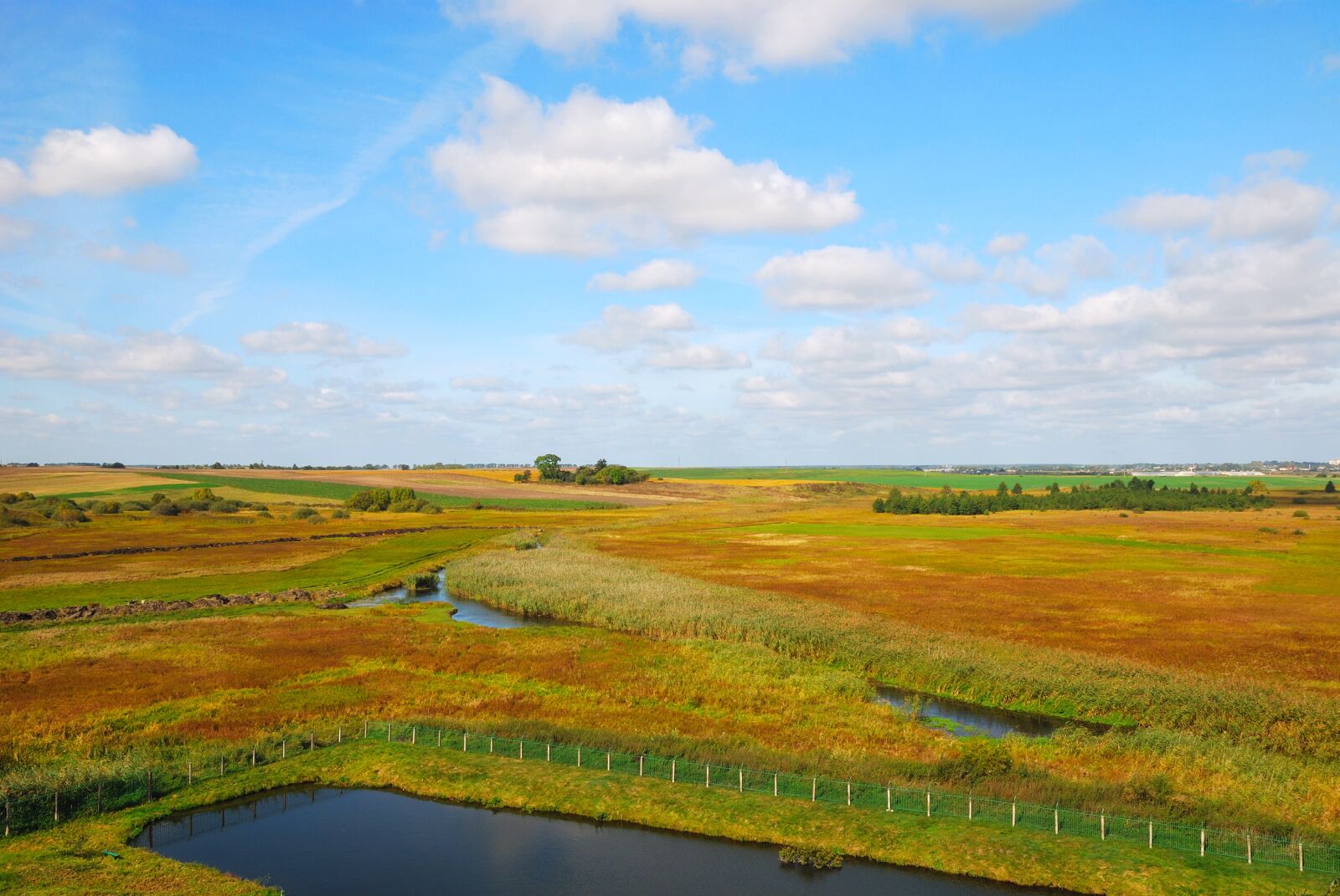 Nikon D80 sample photo. Field, plain, meadow photography
