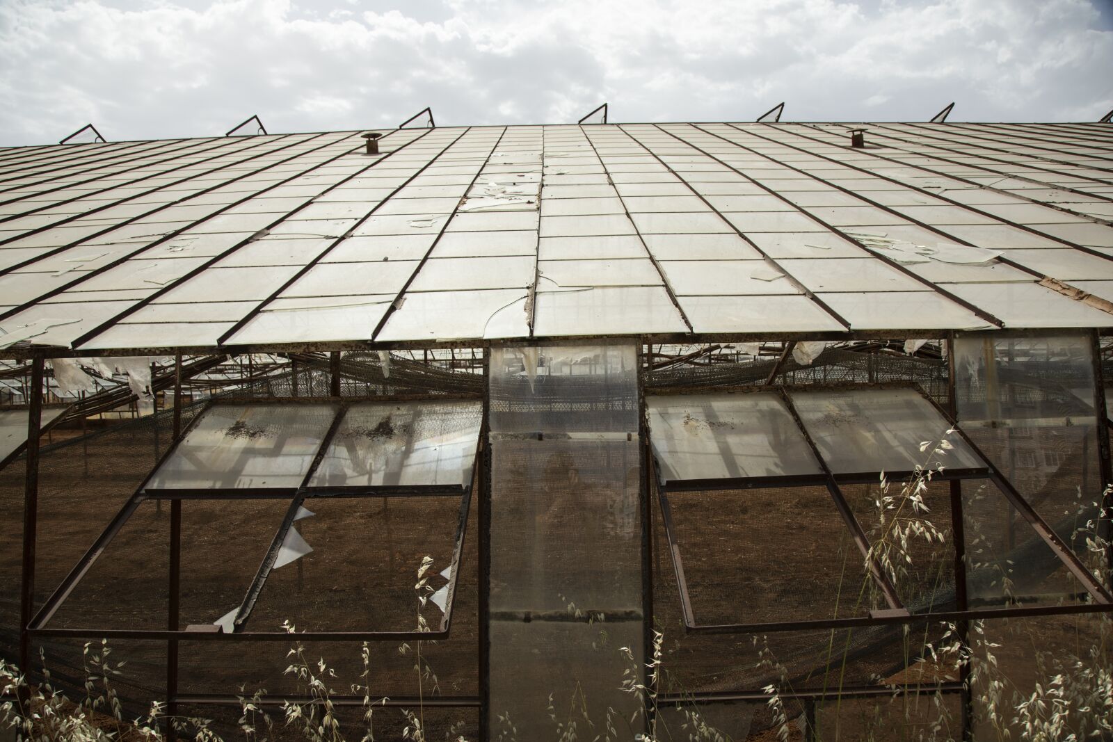 Canon EOS 5D Mark IV sample photo. Greenhouse, agriculture, farming photography