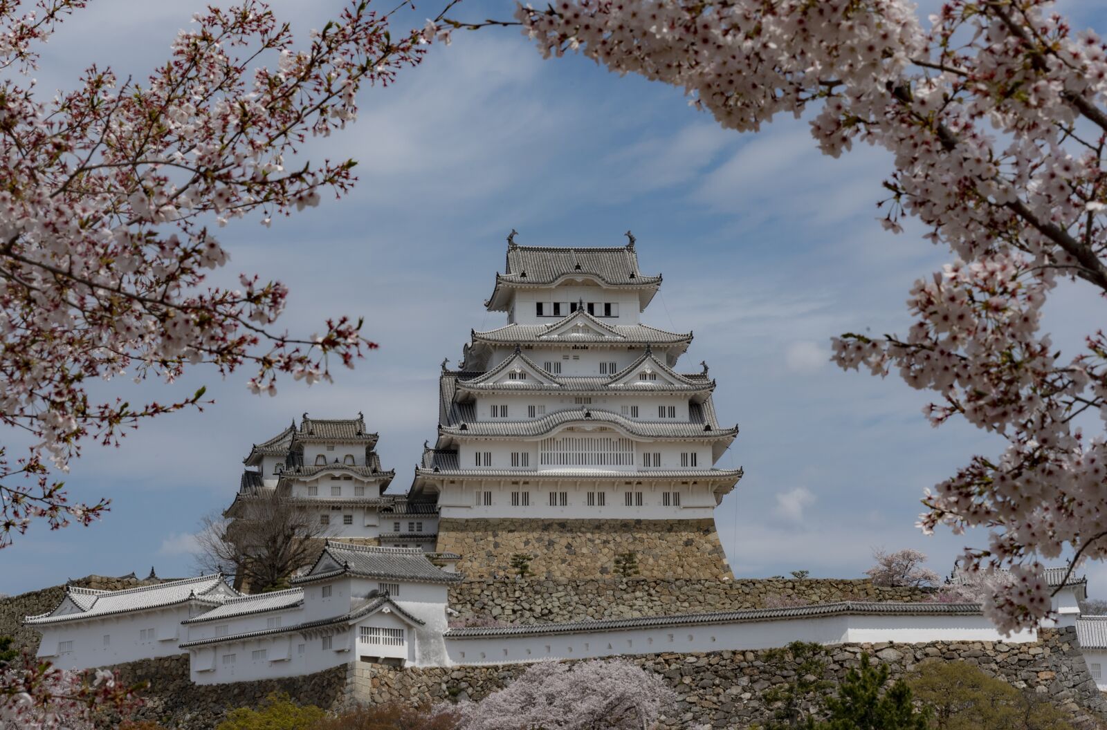 Nikon D750 sample photo. Japan, landmark, heritage photography