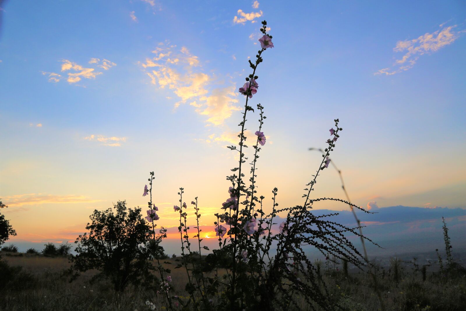 Canon EOS 5D Mark III sample photo. Horizon, nature, dawn photography