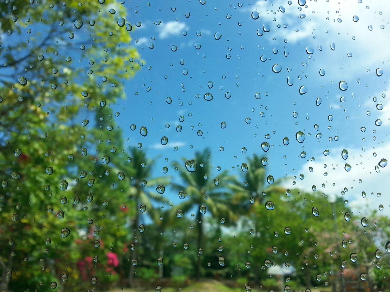 Samsung Galaxy S3 sample photo. Blur, bubble, clear, clouds photography