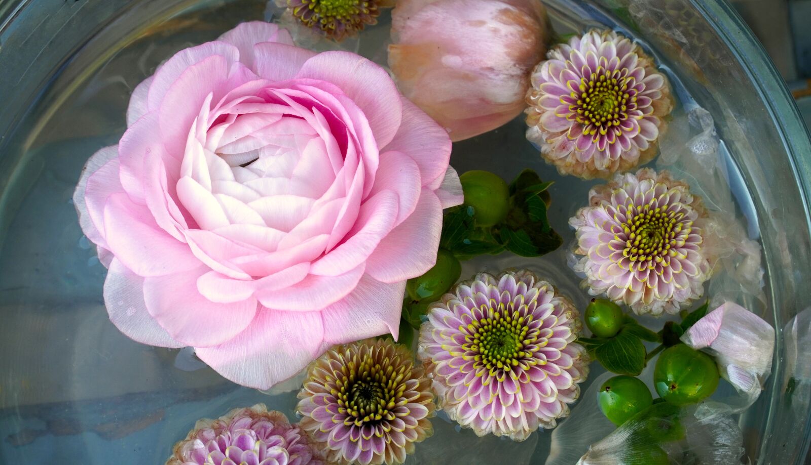 Sony E PZ 18-105mm F4 G OSS sample photo. Flowers, blossom, bloom photography