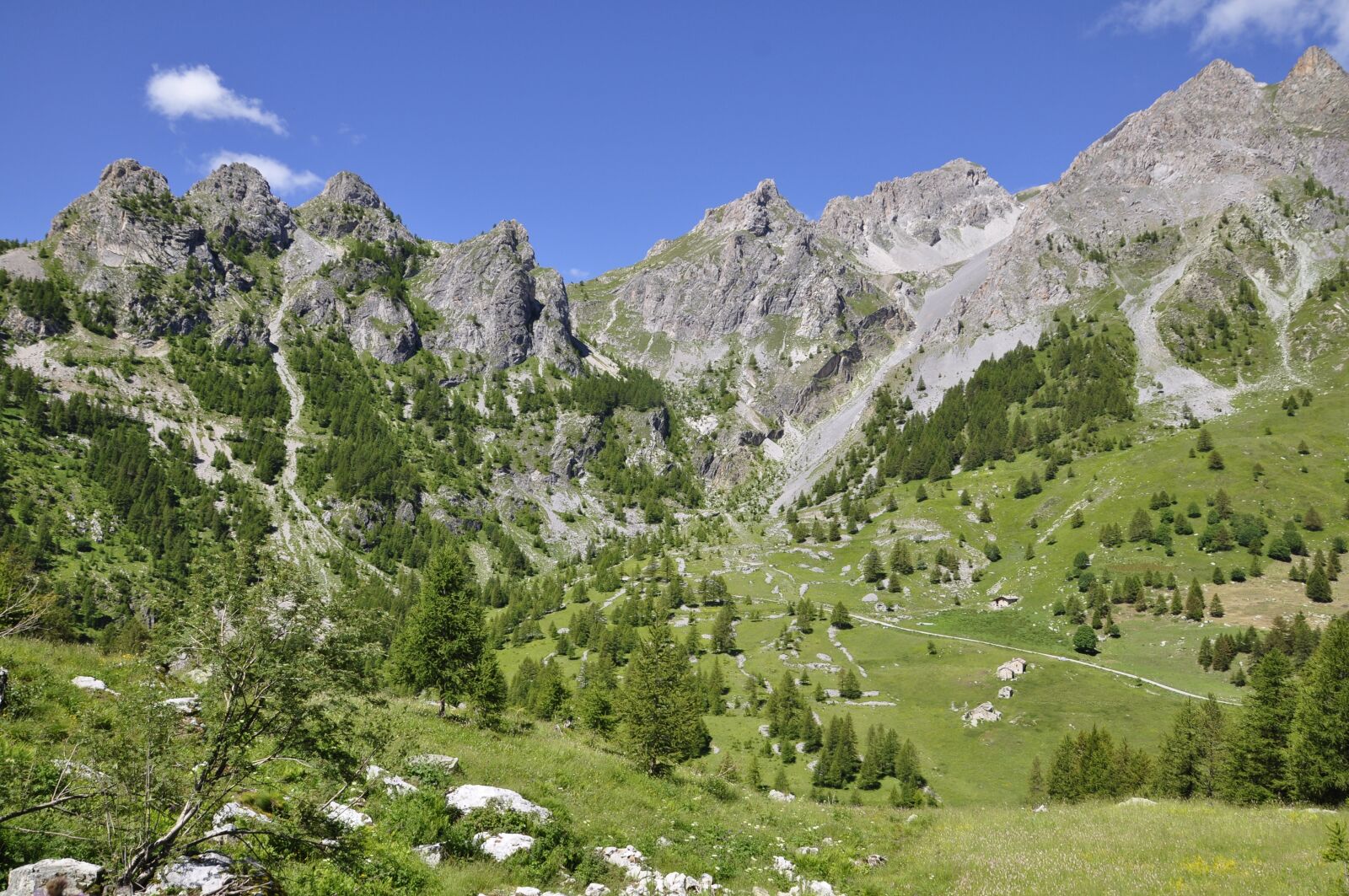 Nikon D5000 sample photo. Alps, landscape, green photography