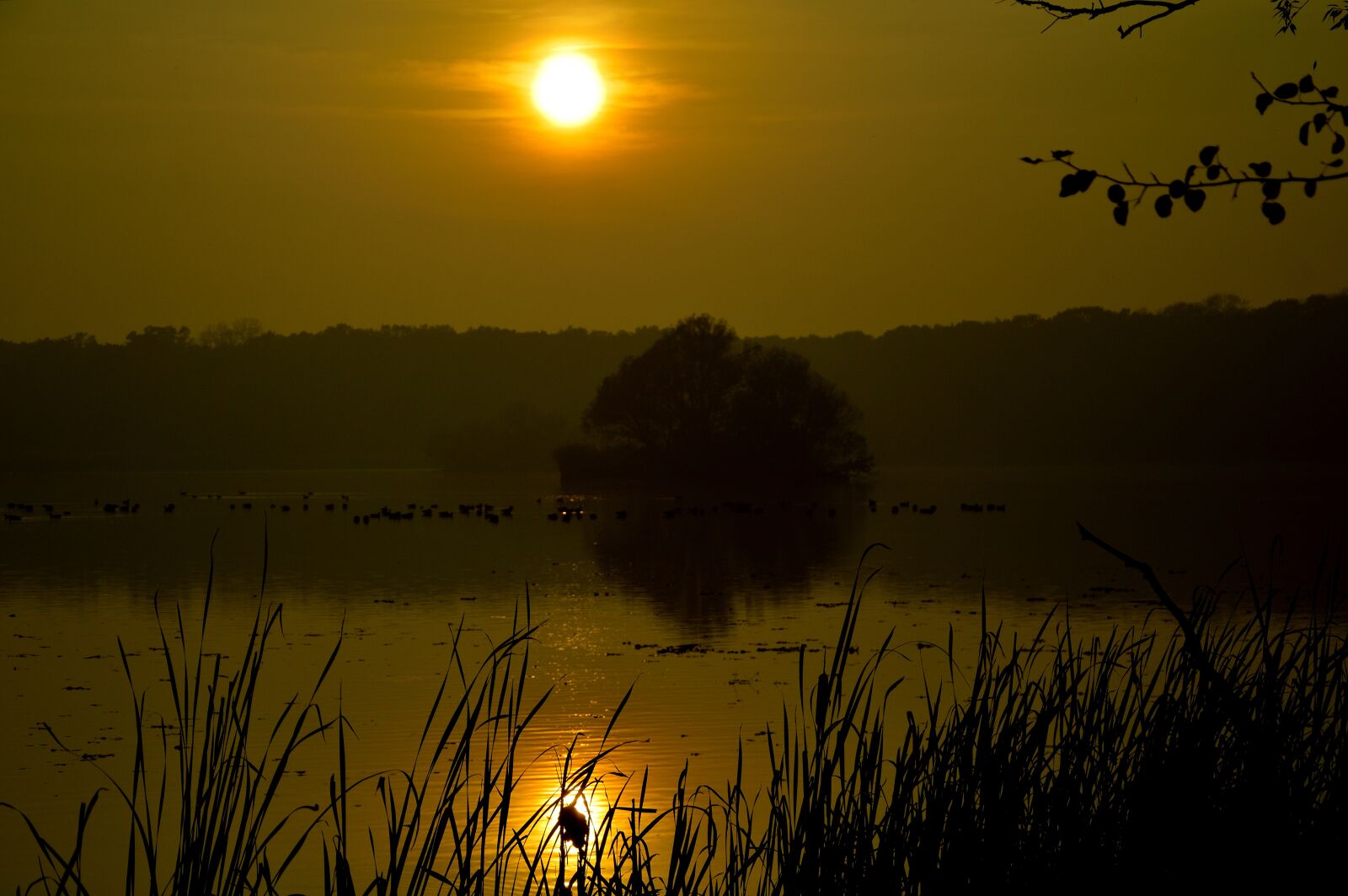 Nikon D3200 sample photo. Nature, water, lake photography