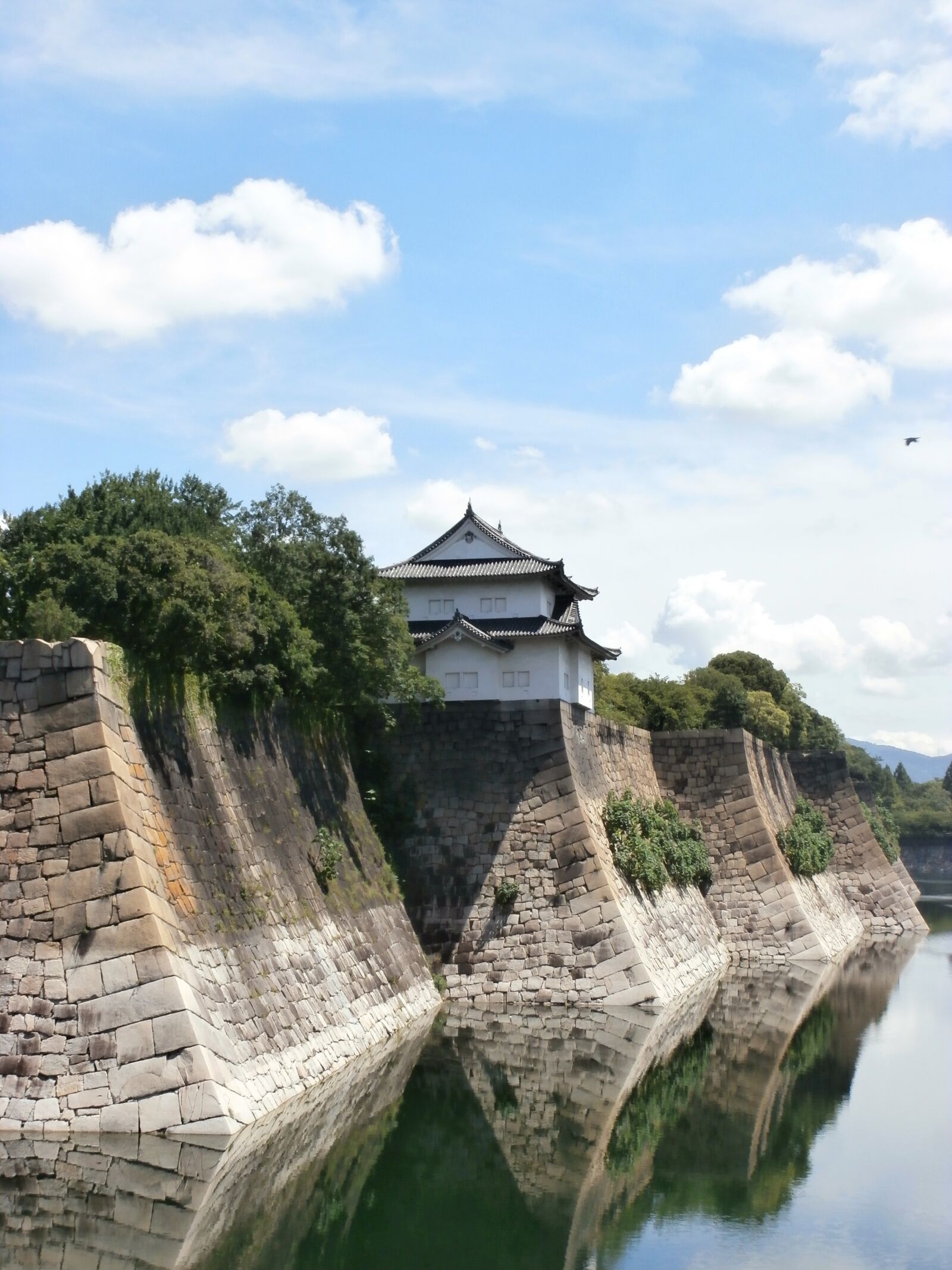 Olympus VR360,D760 sample photo. Japan, osaka, castle photography