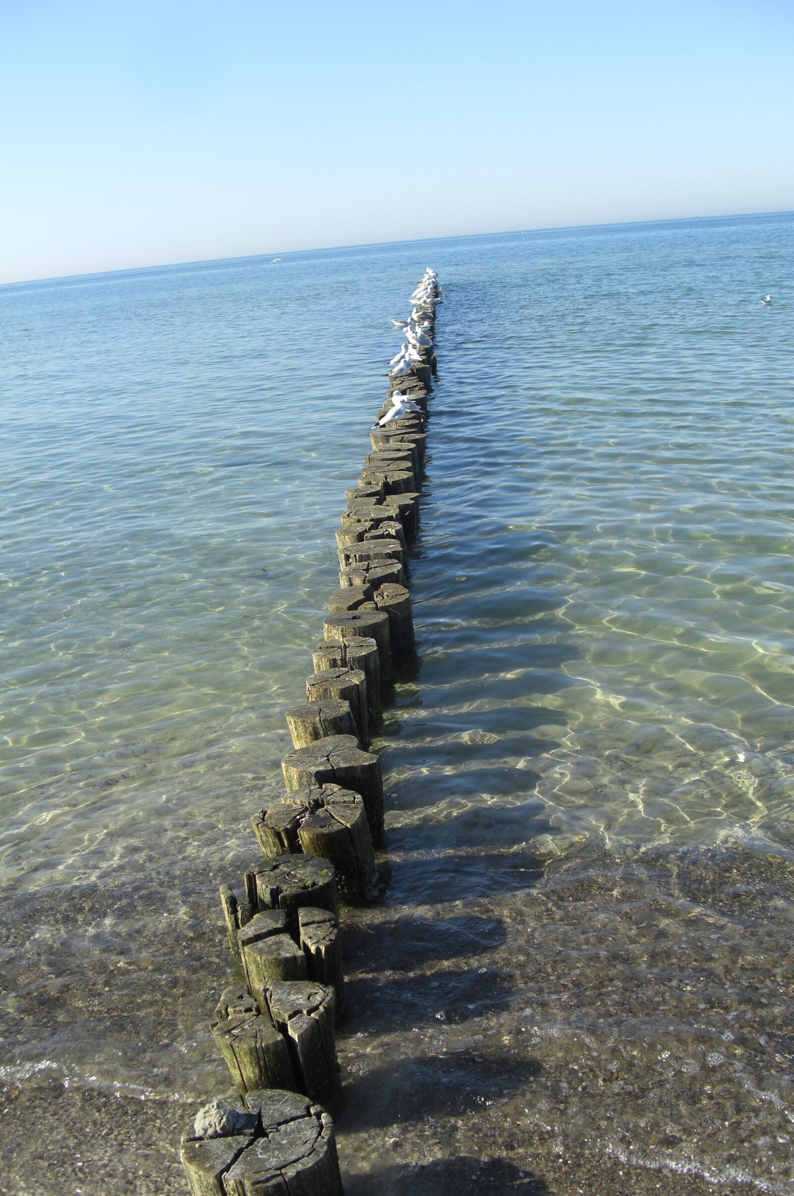 CASIO EX-Z1200 sample photo. Nature, water, sea photography