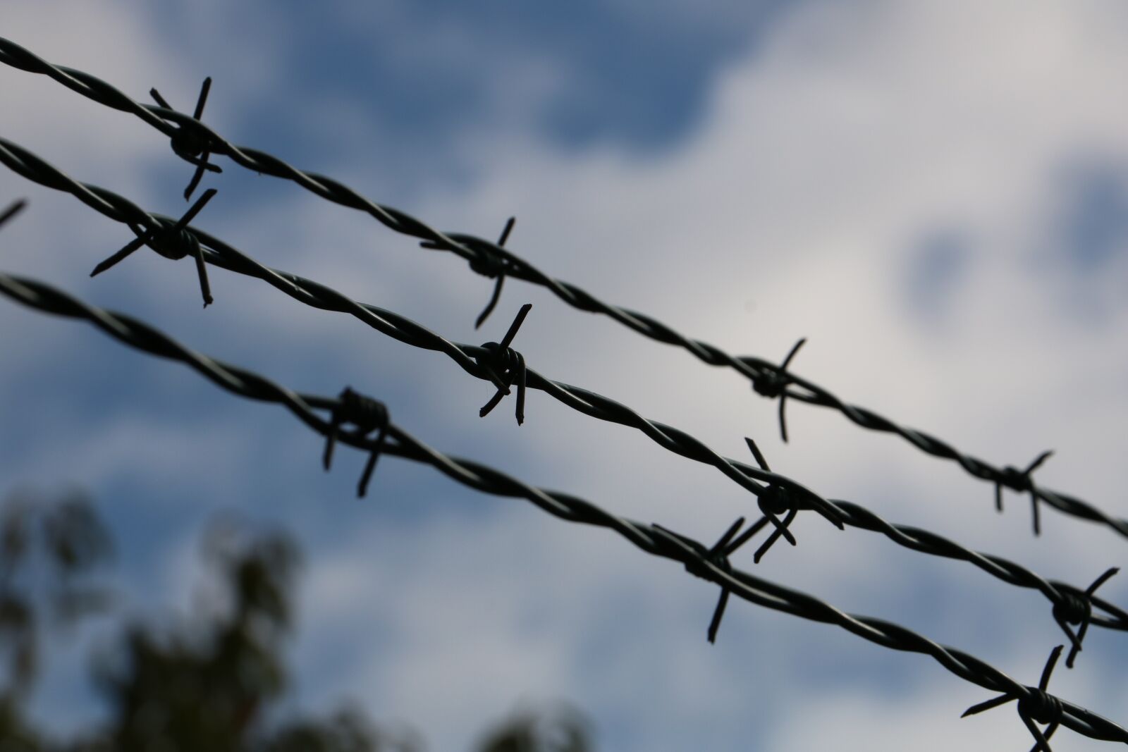 Canon EOS 750D (EOS Rebel T6i / EOS Kiss X8i) sample photo. Barbed wire, wire, fence photography