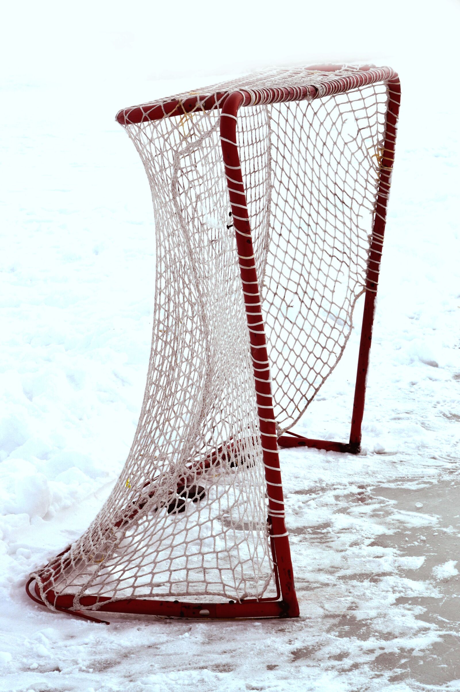Nikon D3200 sample photo. Hockey, net, ice photography