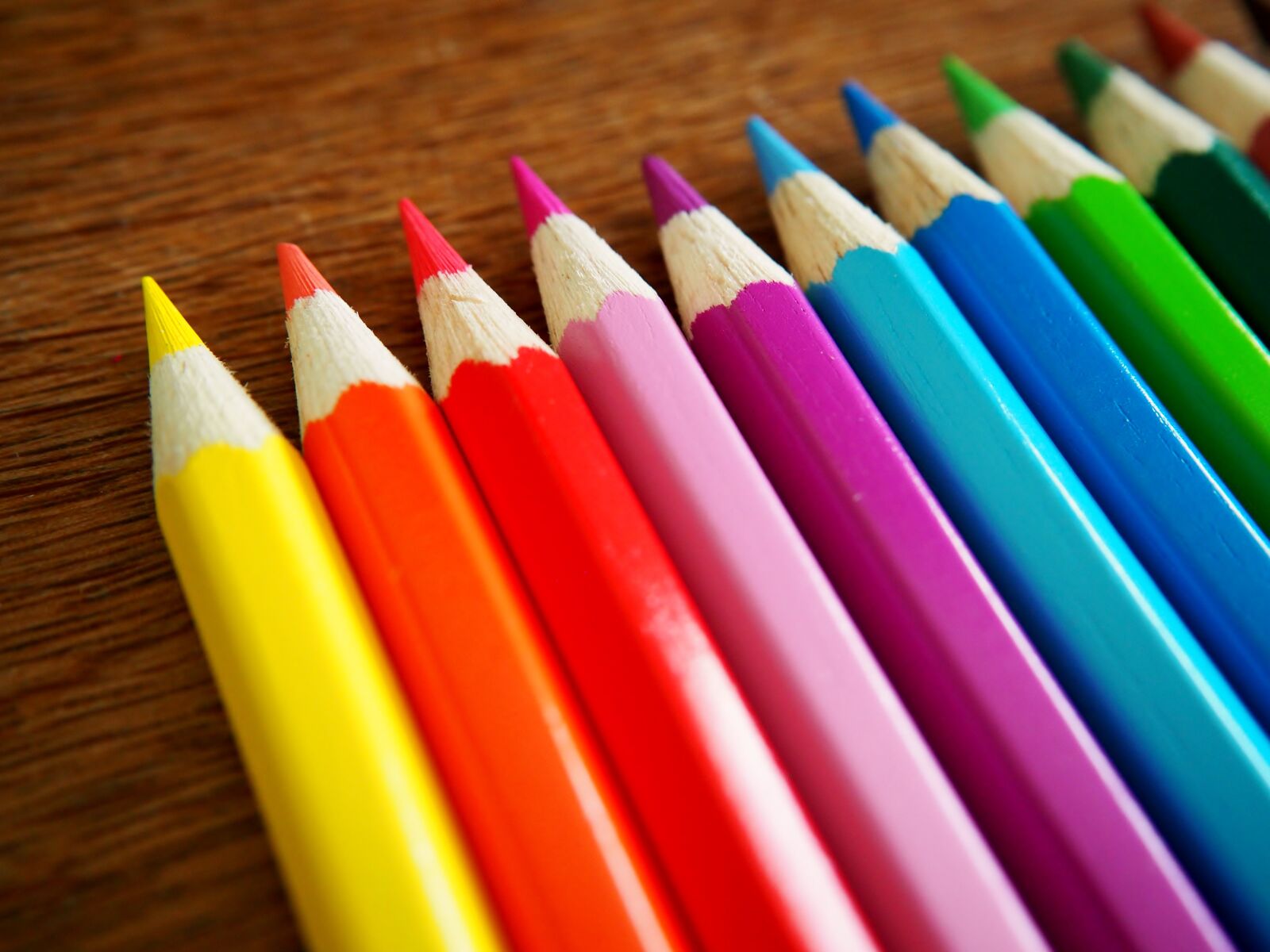 Olympus OM-D E-M10 sample photo. Colored pencils, pens, colorful photography