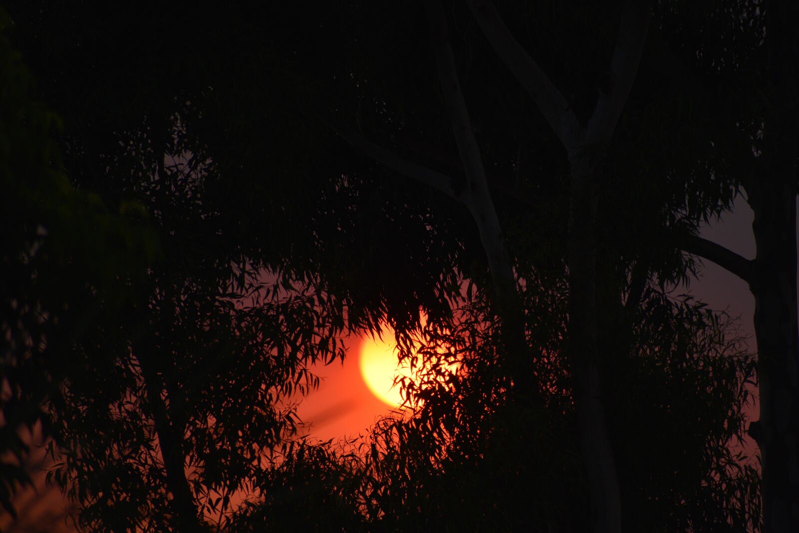Nikon D3500 sample photo. Sun, heat wave, summer photography
