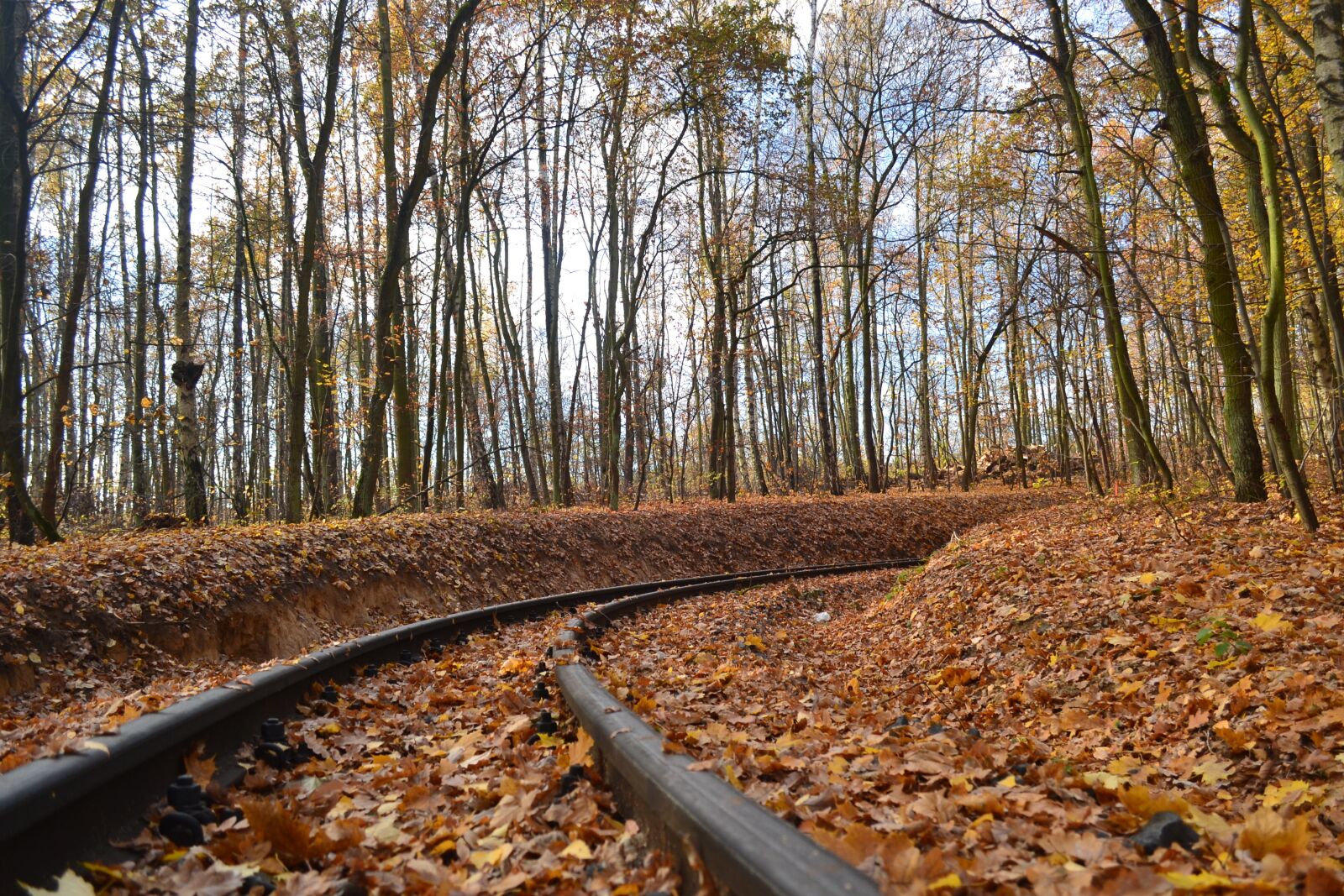 Nikon D3100 sample photo. Tor, narrow-gauge track, autumn photography