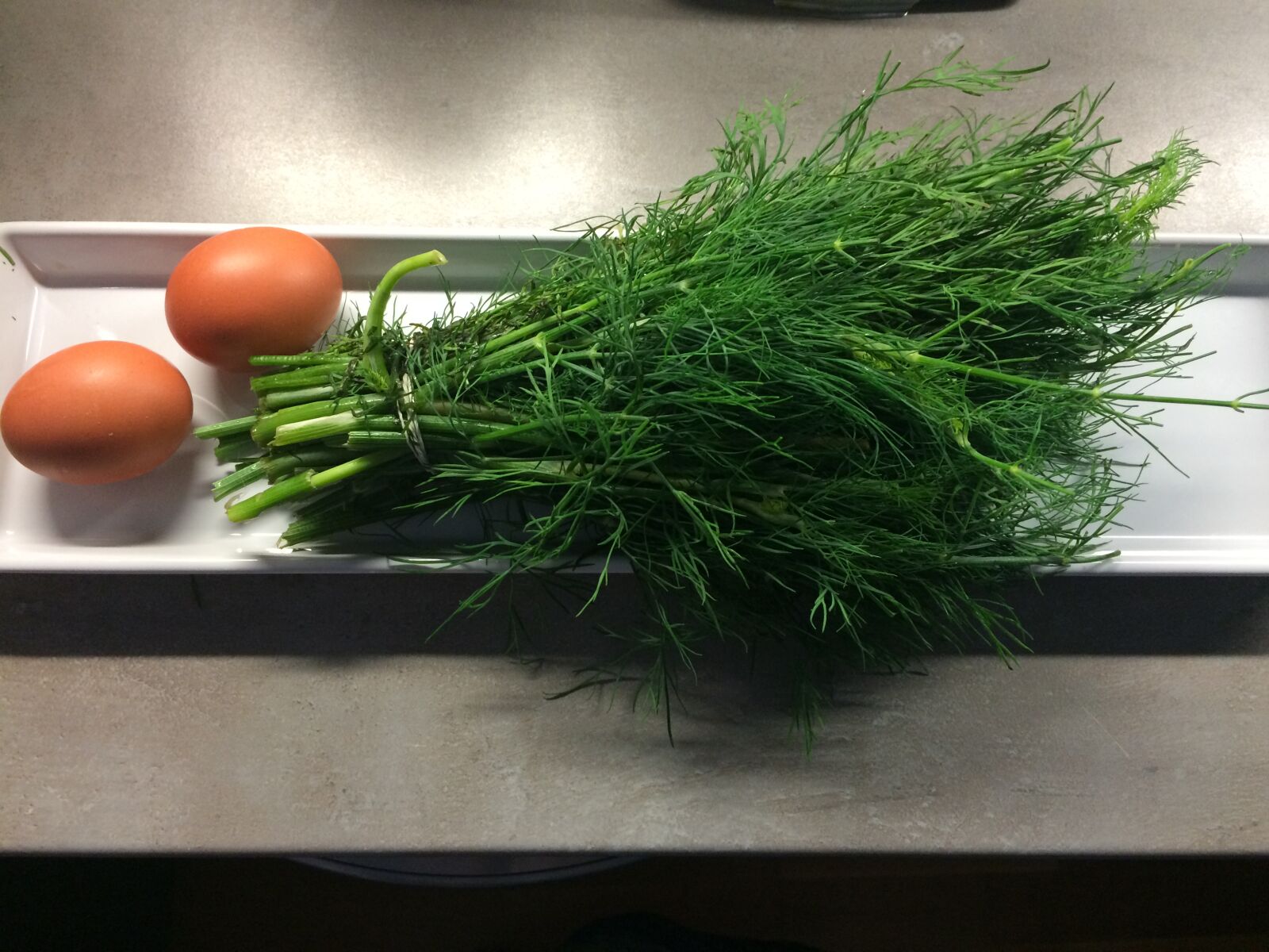 Apple iPhone 5s sample photo. Dill, eggs photography