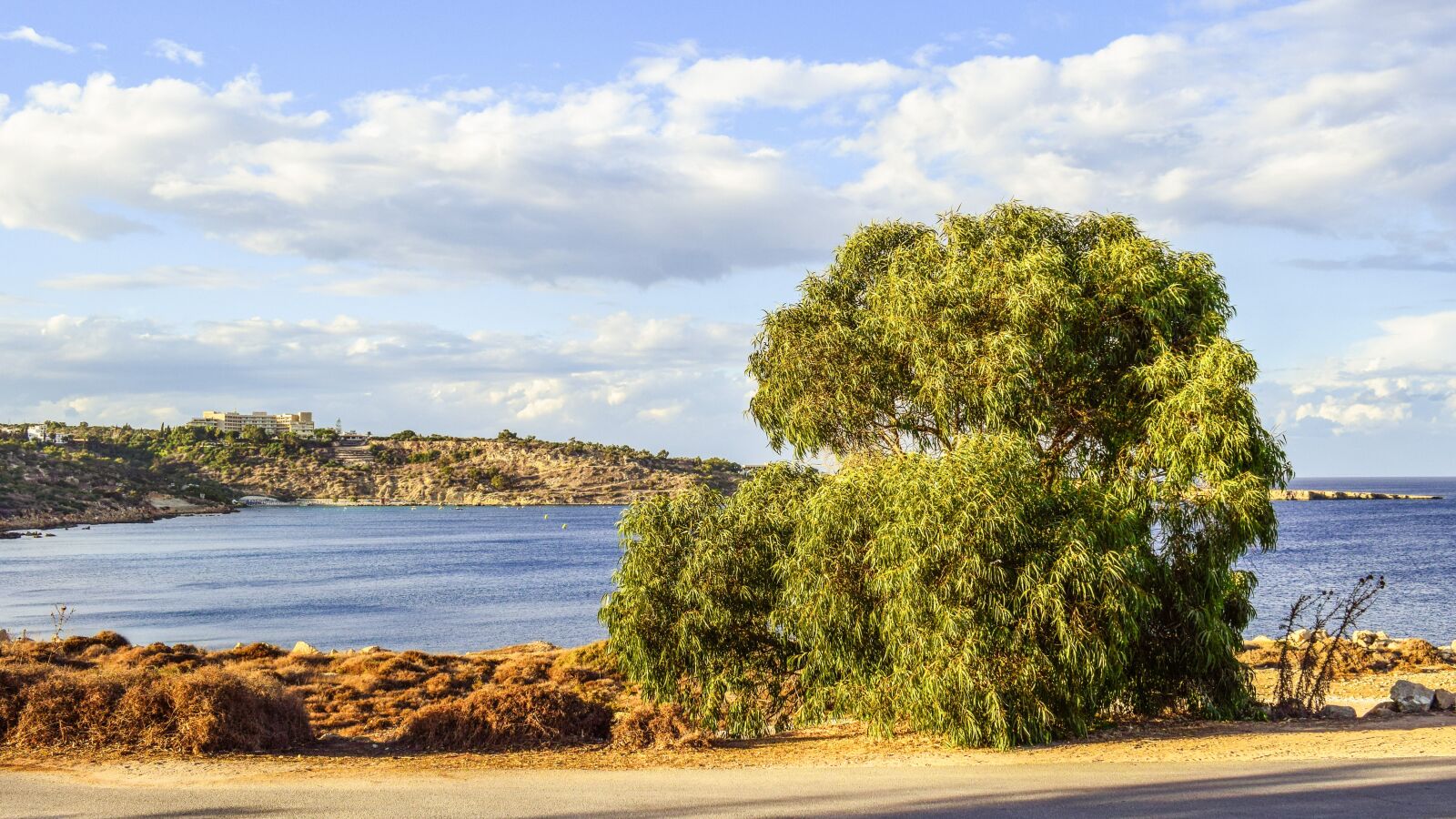 Nikon D3300 sample photo. Tree, landscape, scenery photography