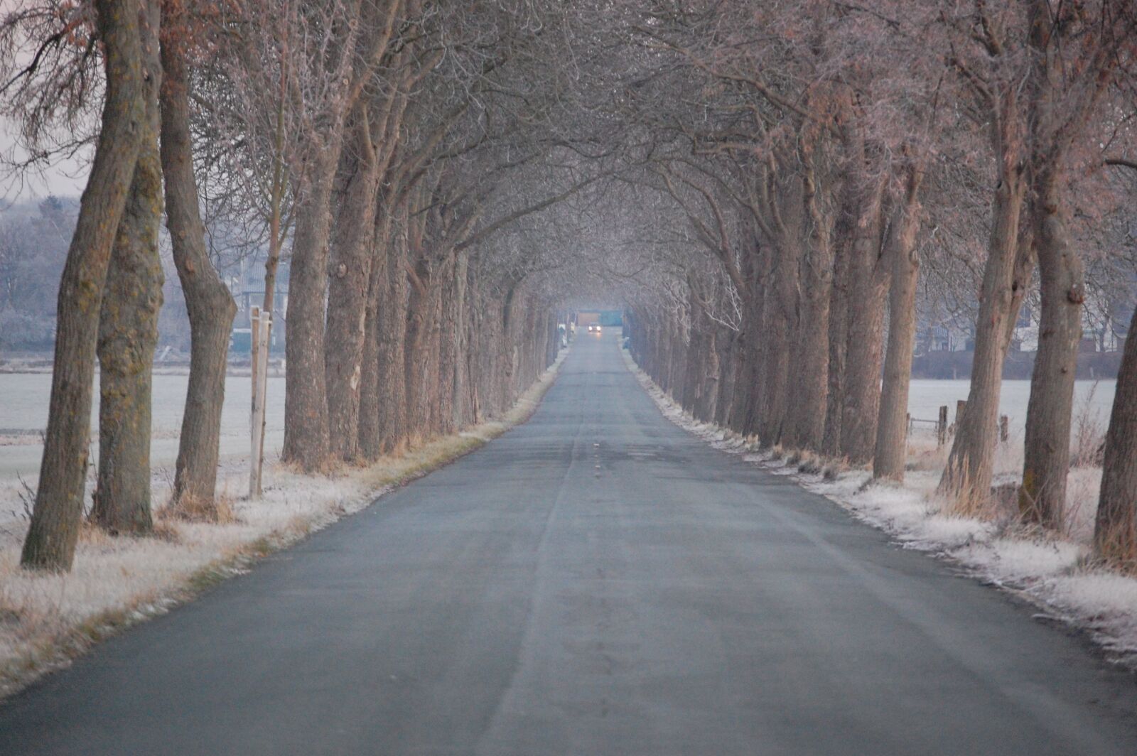 Nikon D40 sample photo. Winter, icy, avenue photography