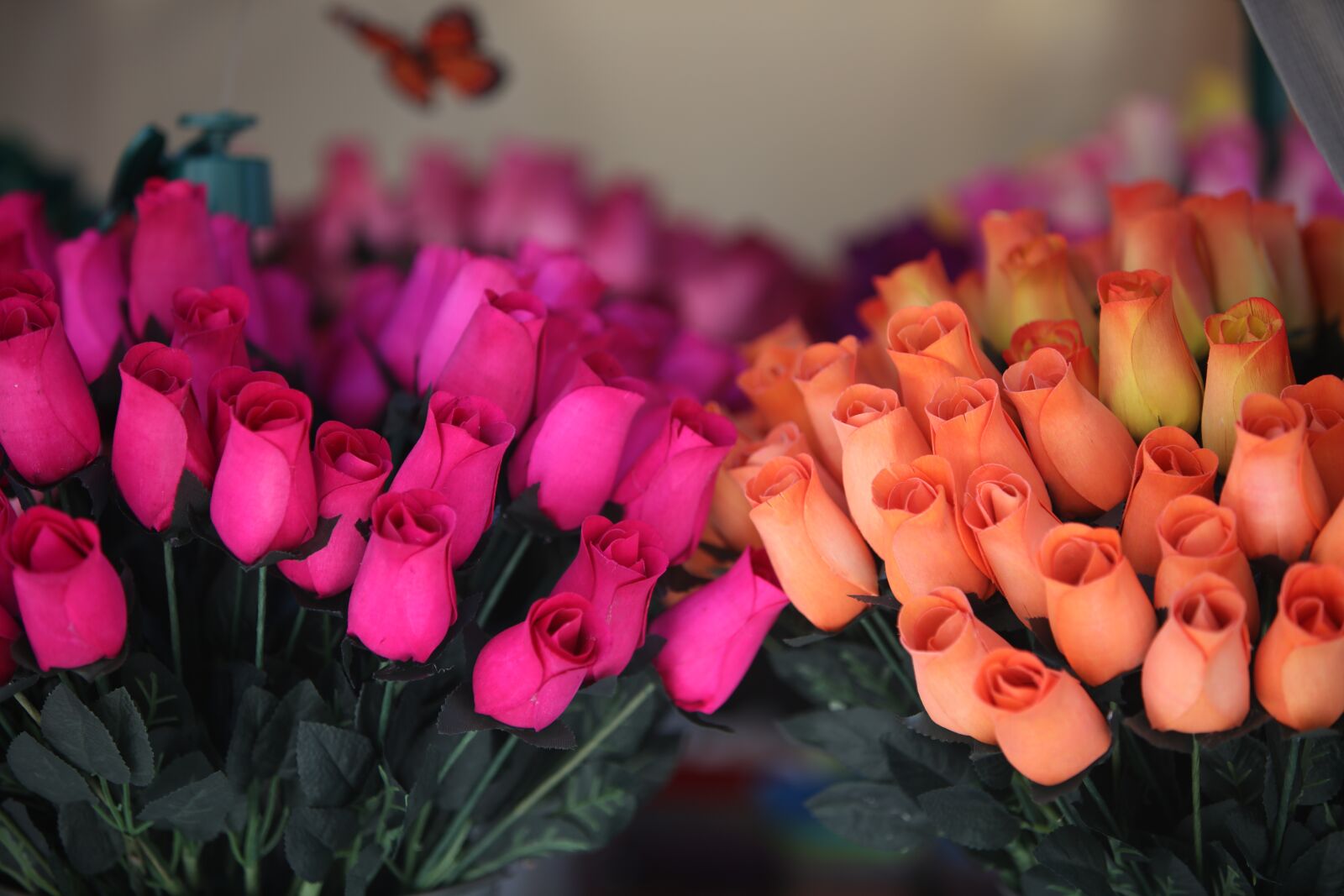 Canon EF 70-200mm F2.8L IS USM sample photo. Flowers, roses, flower photography