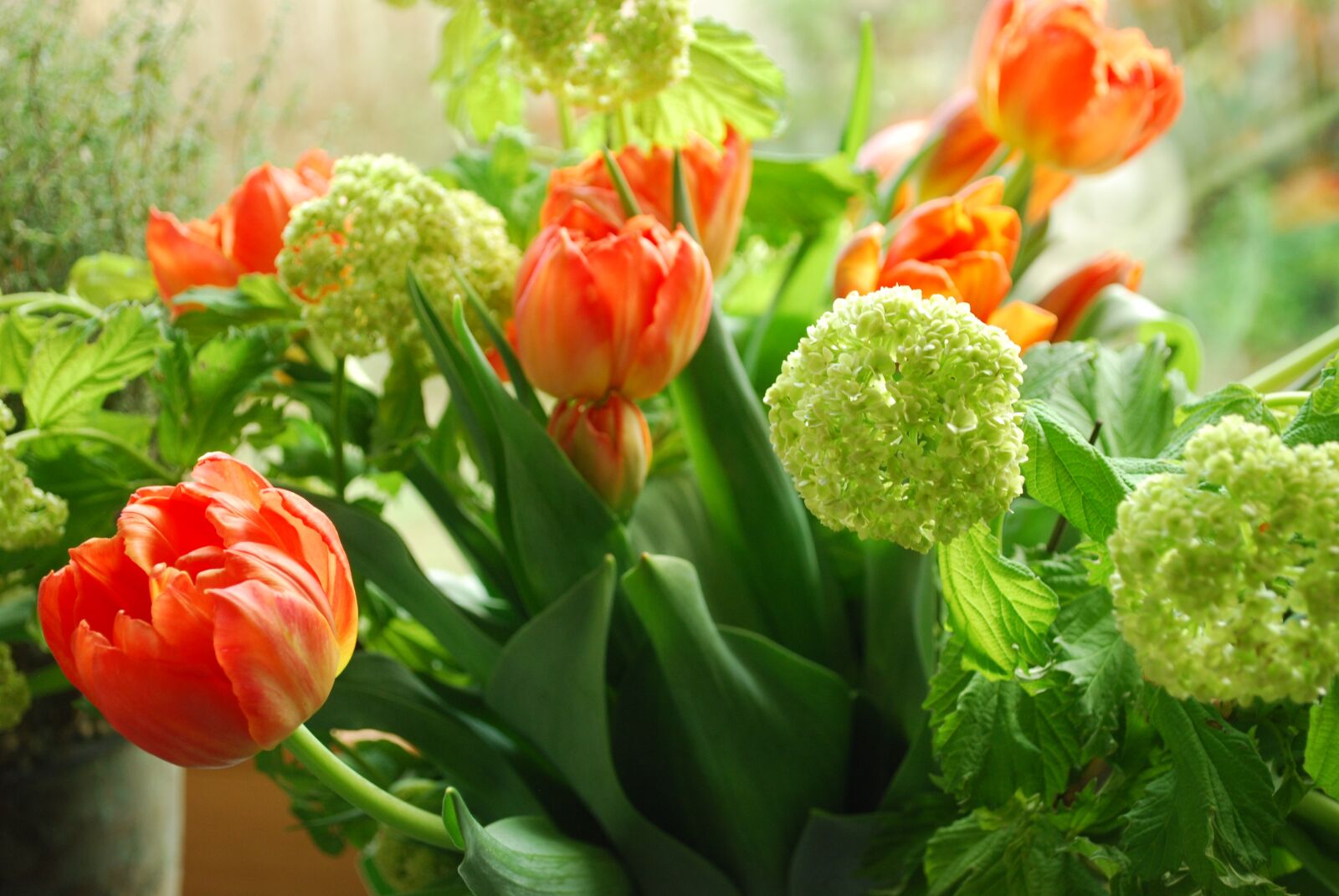 Nikon D60 sample photo. Spring, mood, tulip bouquet photography