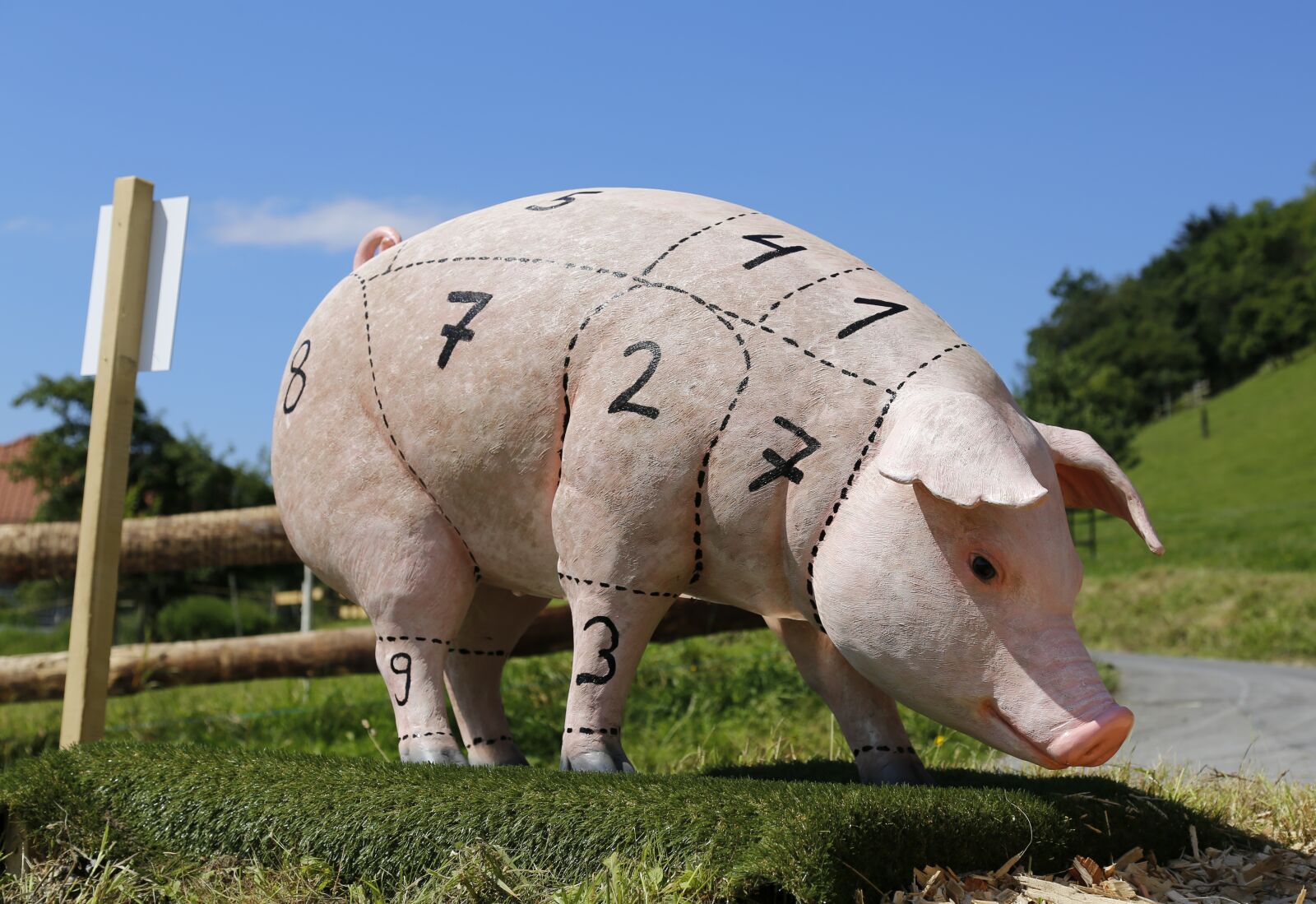 Canon EOS 6D sample photo. Pig, pork, livestock photography