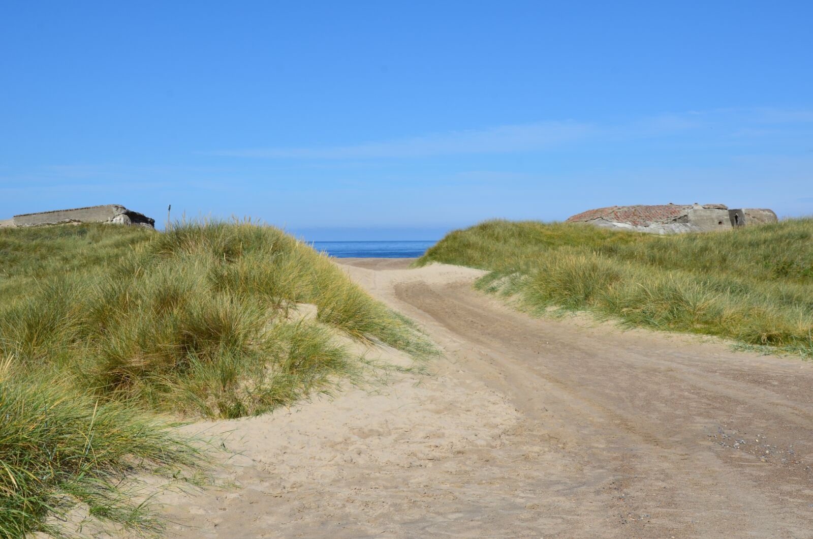Nikon D5100 sample photo. Denmark, beach, dunes photography