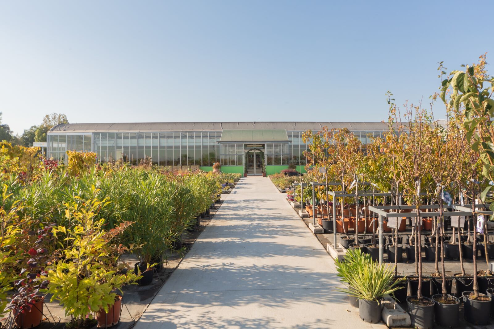 Canon EOS 5D Mark III sample photo. Shrubs, trees, nursery photography