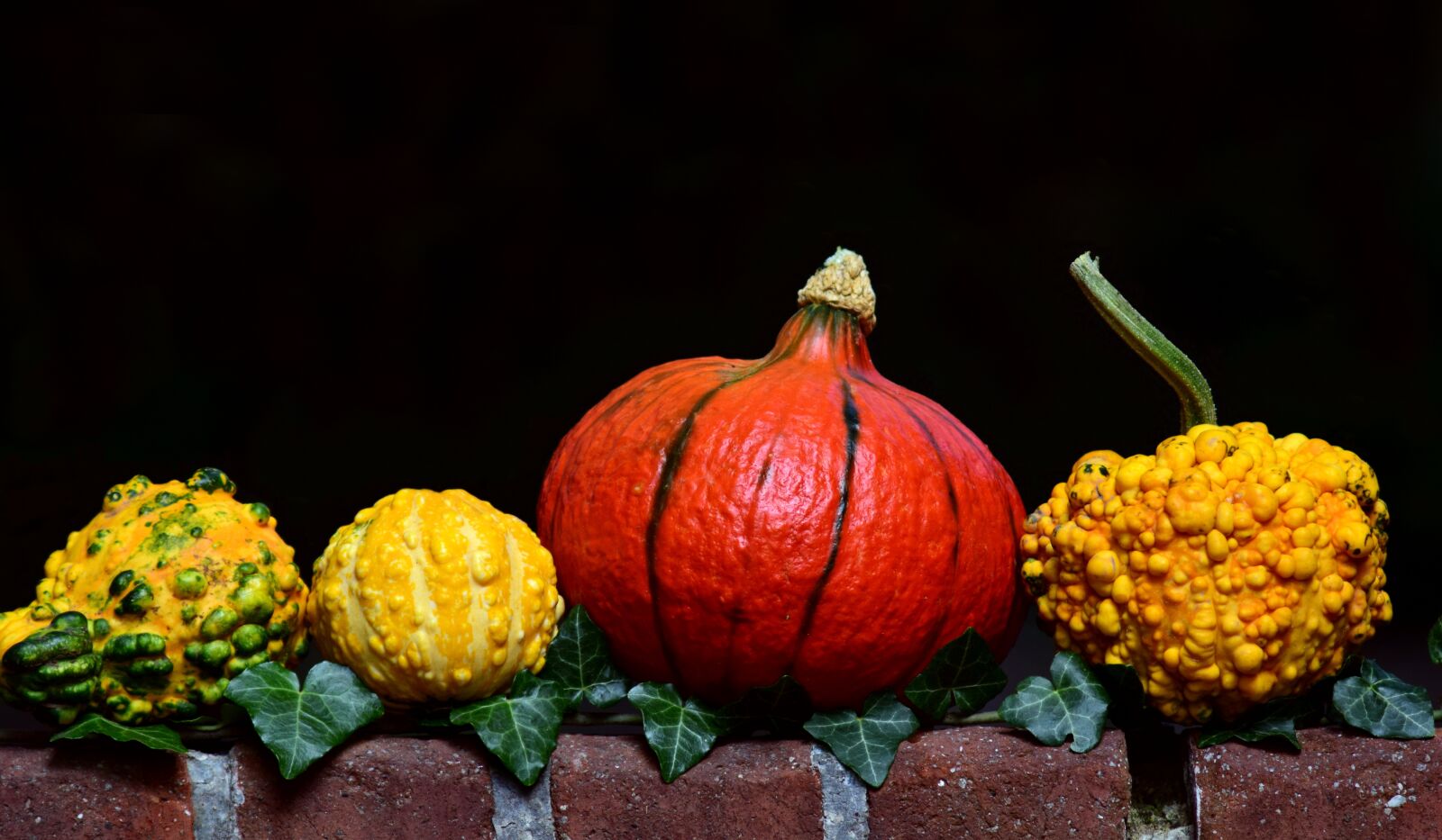 Nikon D3300 sample photo. Pumpkin, gourd, hokkaido photography