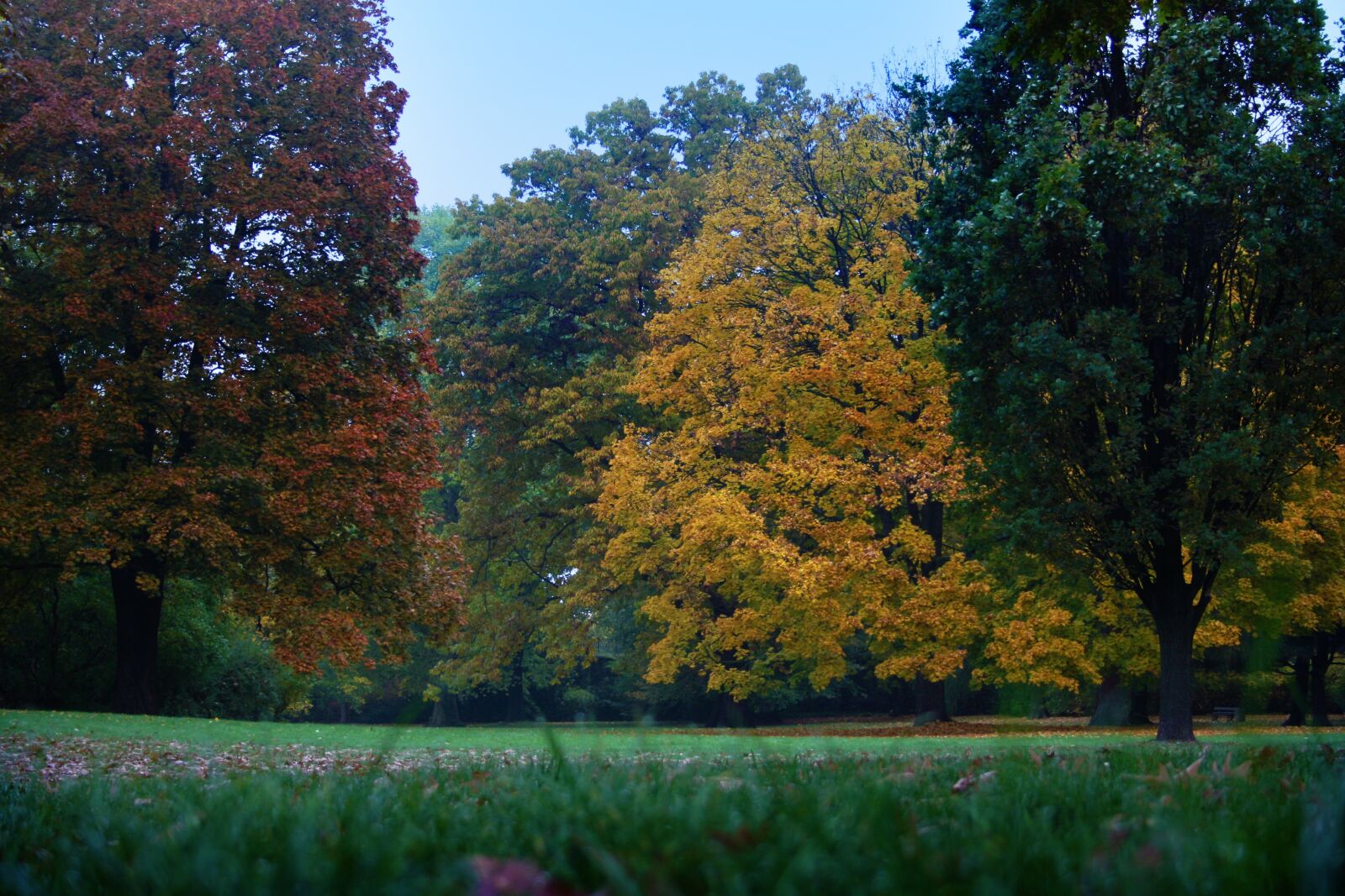Canon EOS 400D (EOS Digital Rebel XTi / EOS Kiss Digital X) sample photo. Autumn, trees, park photography