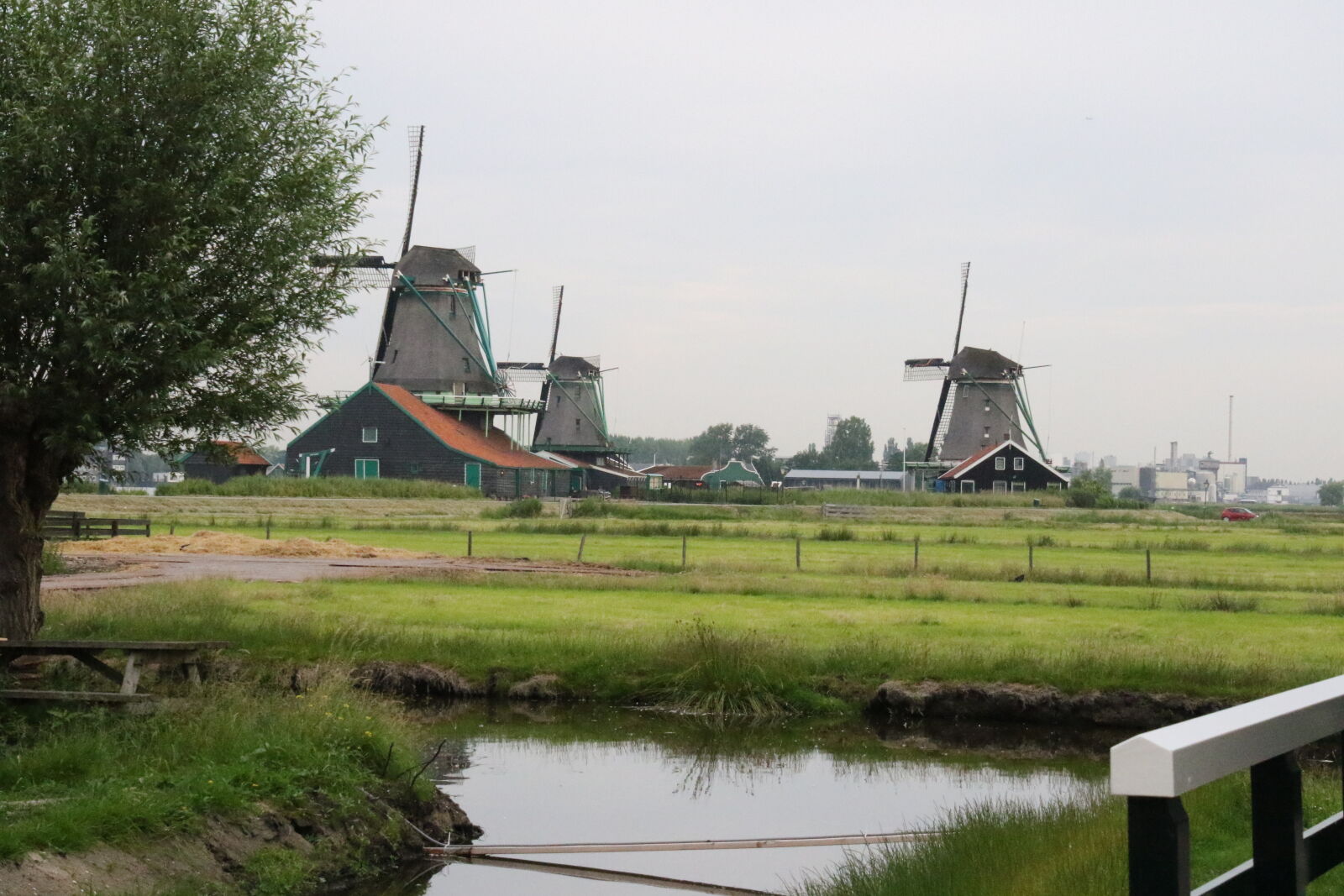 Canon EOS 7D Mark II sample photo. Countryside, dutch, grass, green photography