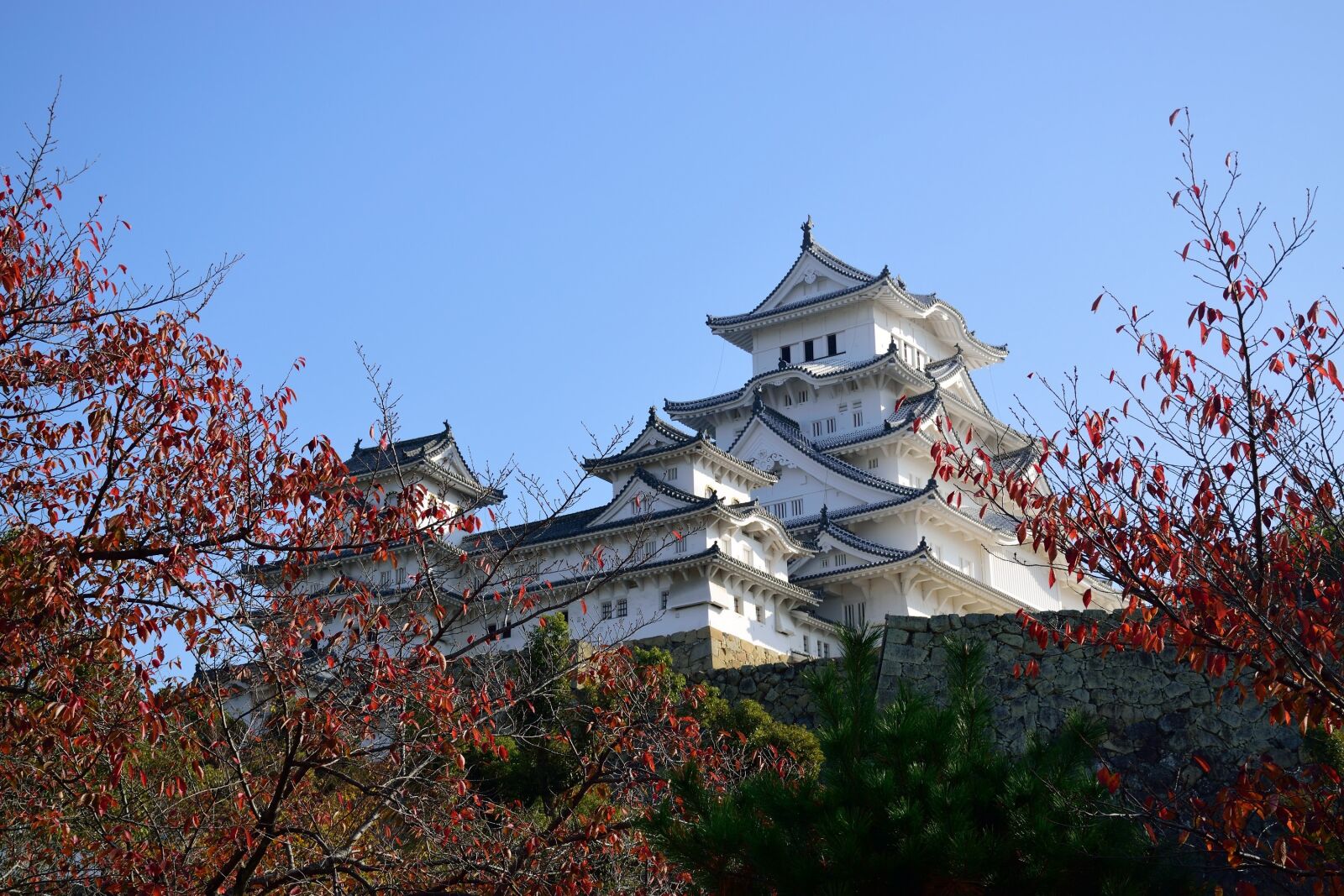 Nikon D5300 sample photo. Himeji, castle, japan photography