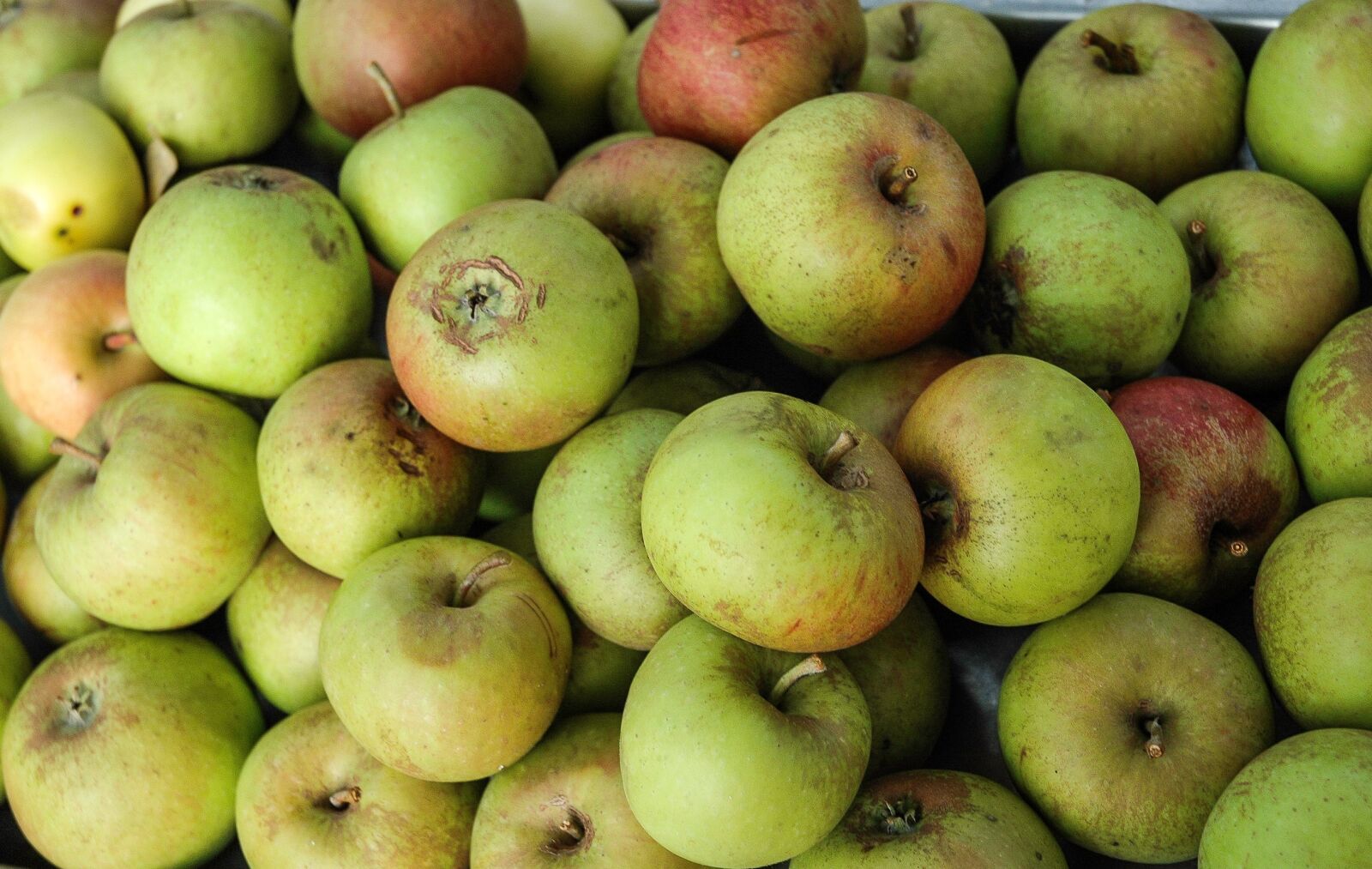 Nikon D70s sample photo. Apples, natural, food photography