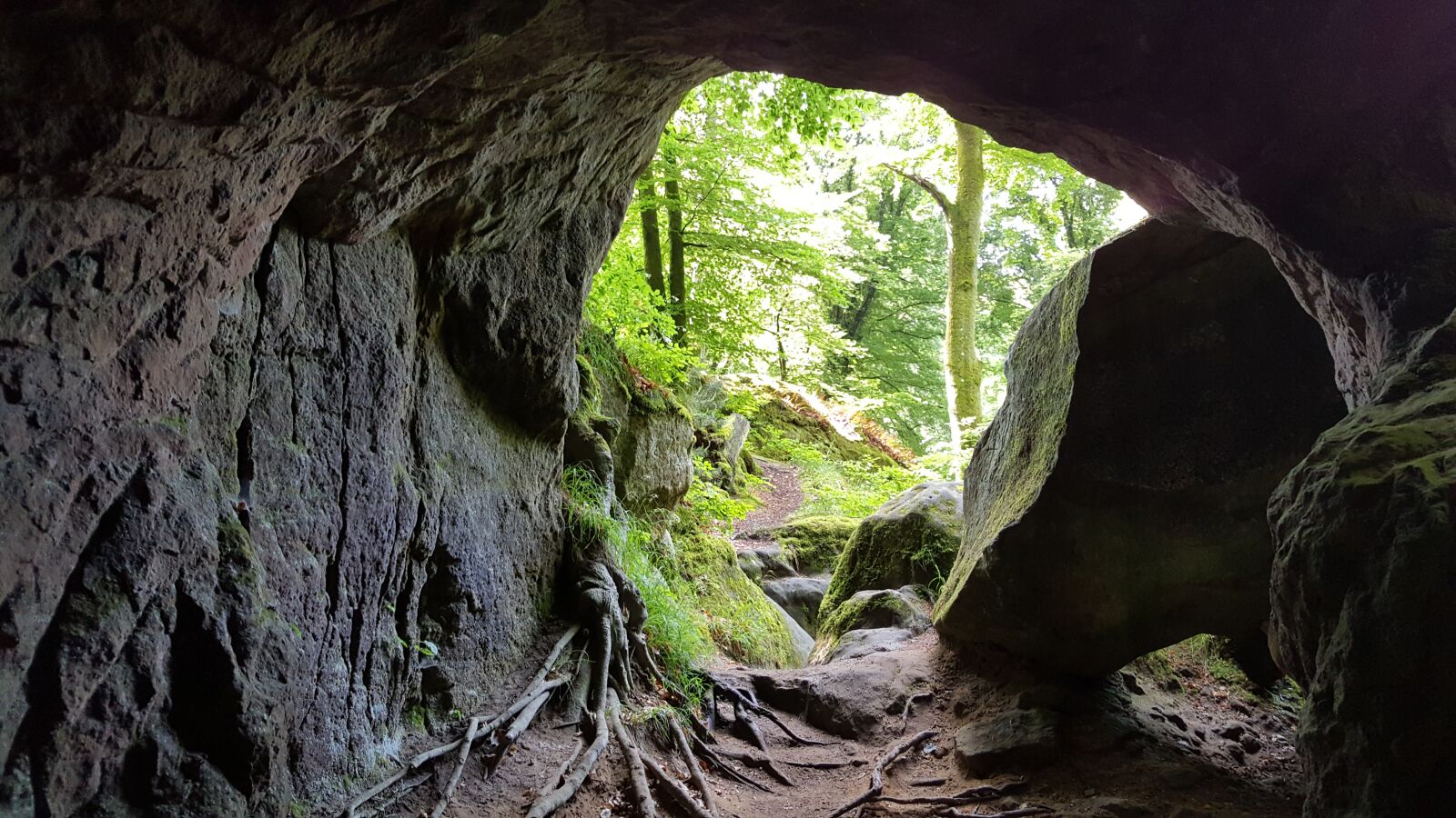 Samsung Galaxy S6 sample photo. Mullerthal, luxembourg, mullerthal trail photography