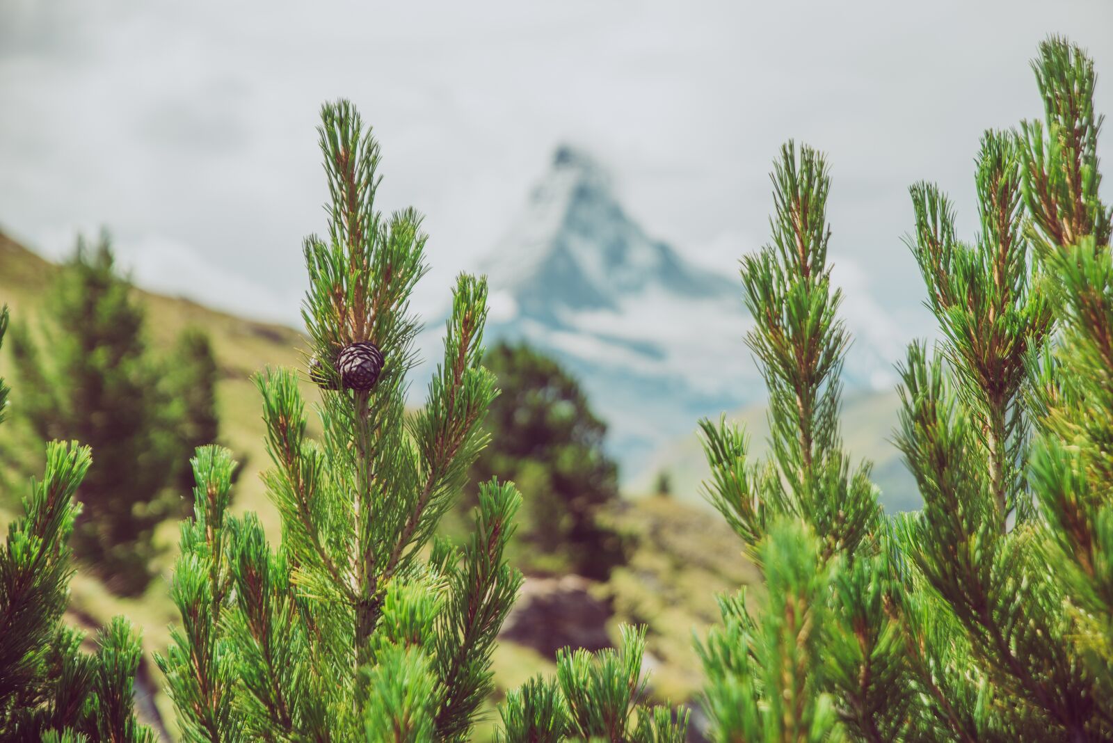Nikon D750 sample photo. Hiking, trail, mountain hiking photography